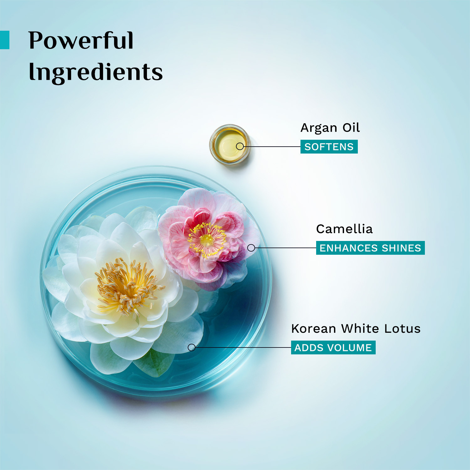 Image of Pilgrim Argan Oil Sulphate Free Shampoo & Hair Mask