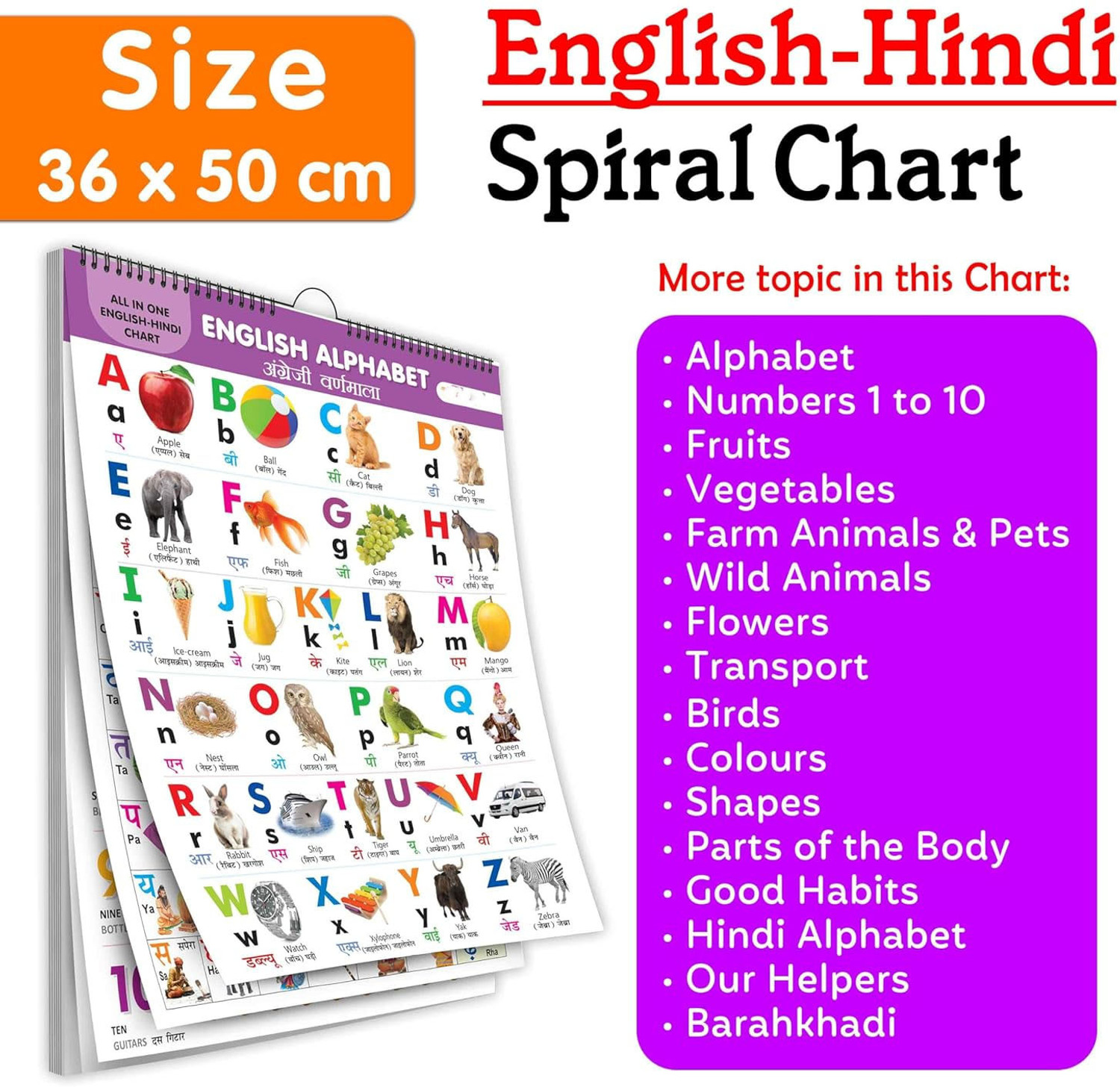 Image of GAMLOID Best Buy English Chart For Kids 36 x 50 cm - Children Spiral Wall Picture Chart (Multicolor)