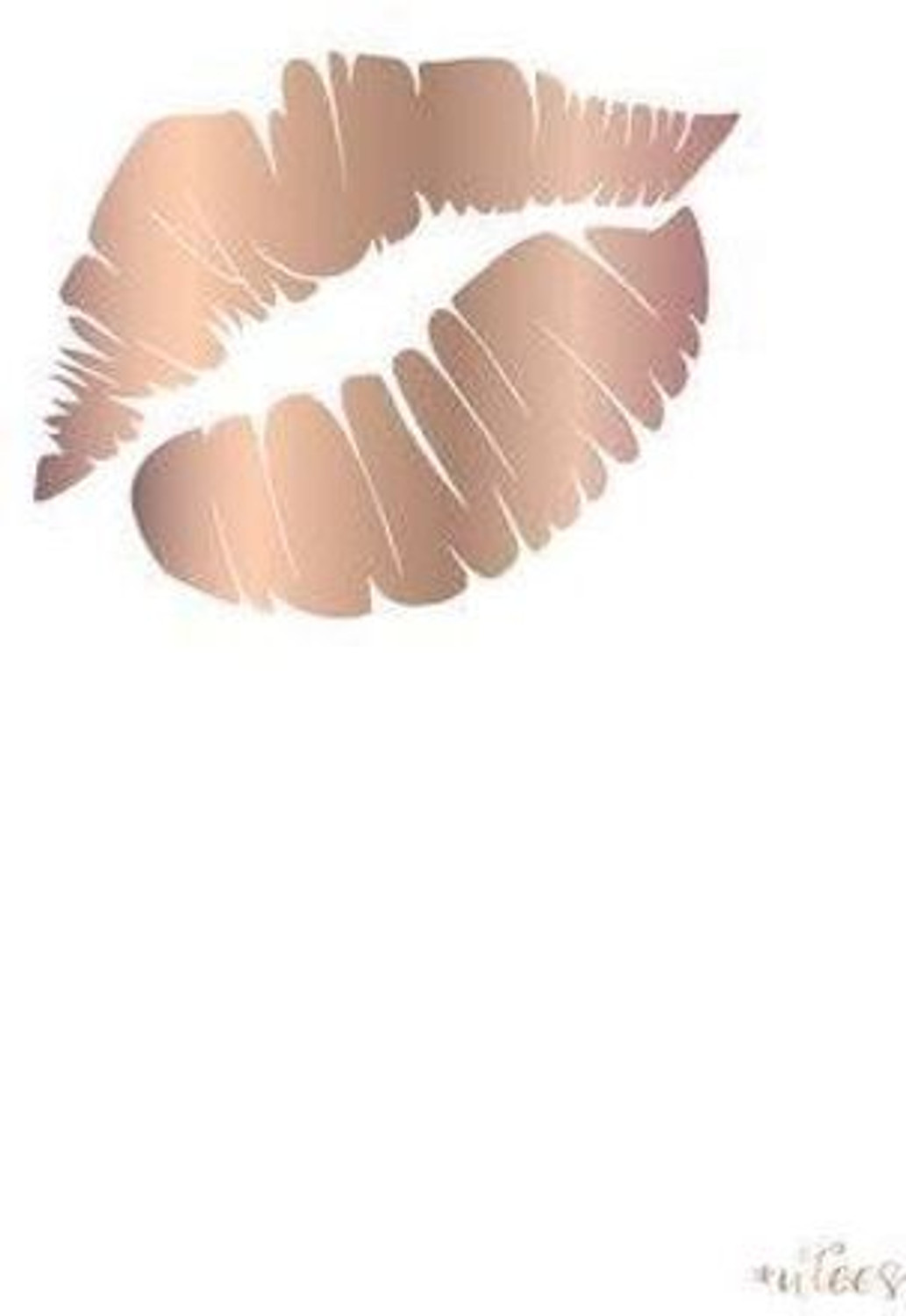 Image of MINNOE Nude Edition Long Lasting Sensational Liquid Matte Lipstick Set of 6