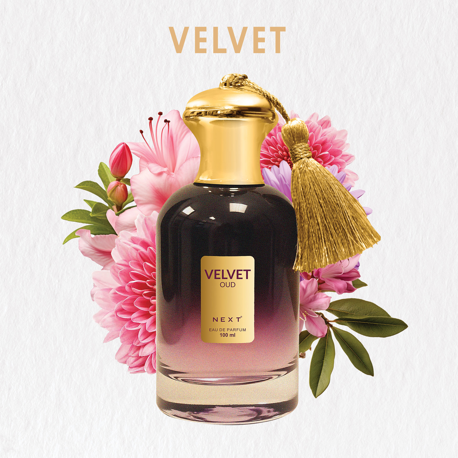 Image of Next Care Velvet Oud Perfume Saffron & Geranium Fragrance Notes Budget Friendly Eau de Parfum - 100 ml