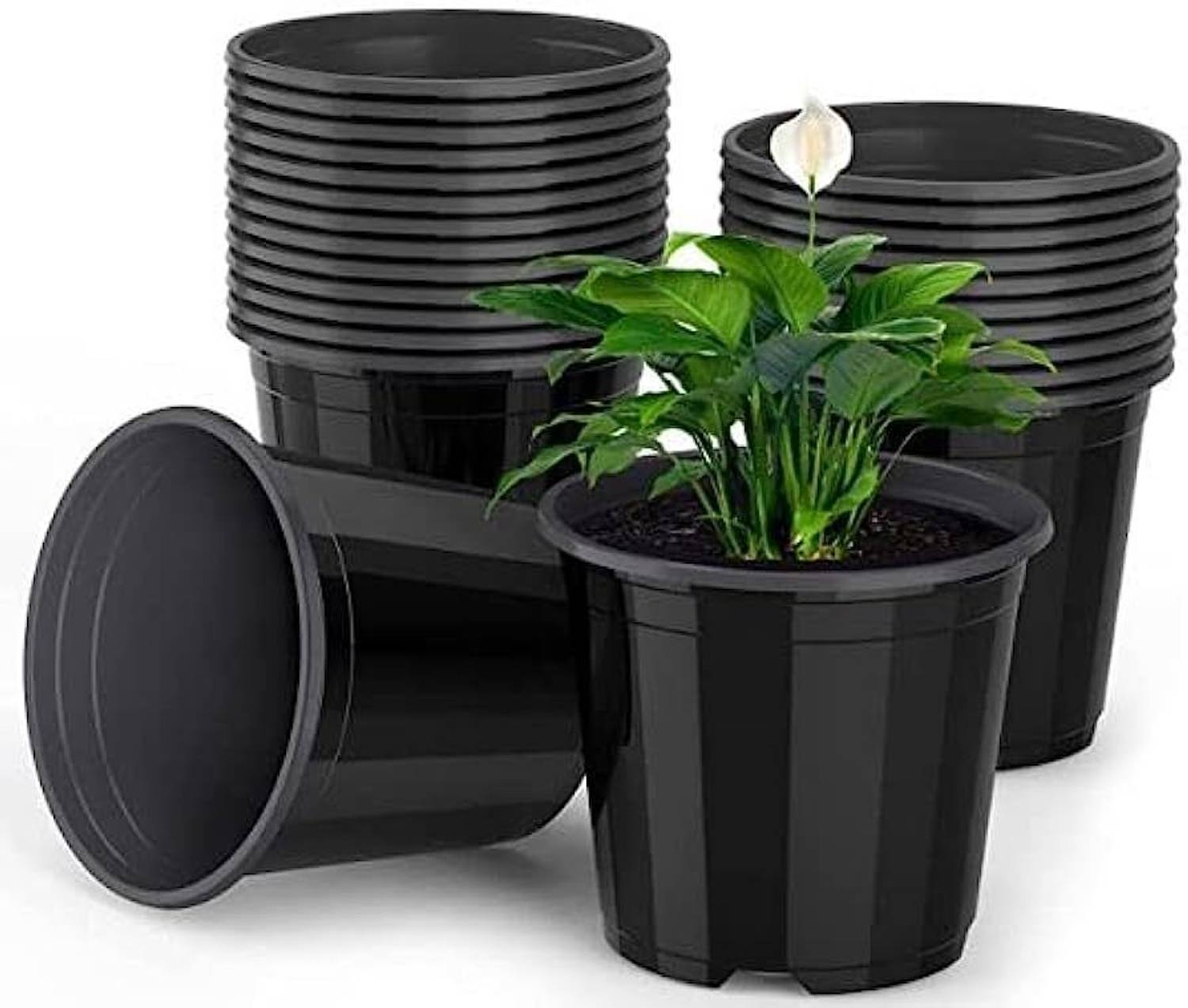 Gardeningwala 6 inch Black Plant Pot - Image 2