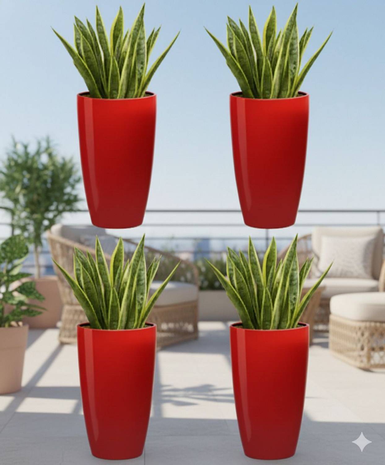 TP 3個セット SAROJTRADERS Plant Container Set Price in India - Buy SAROJTRADERS