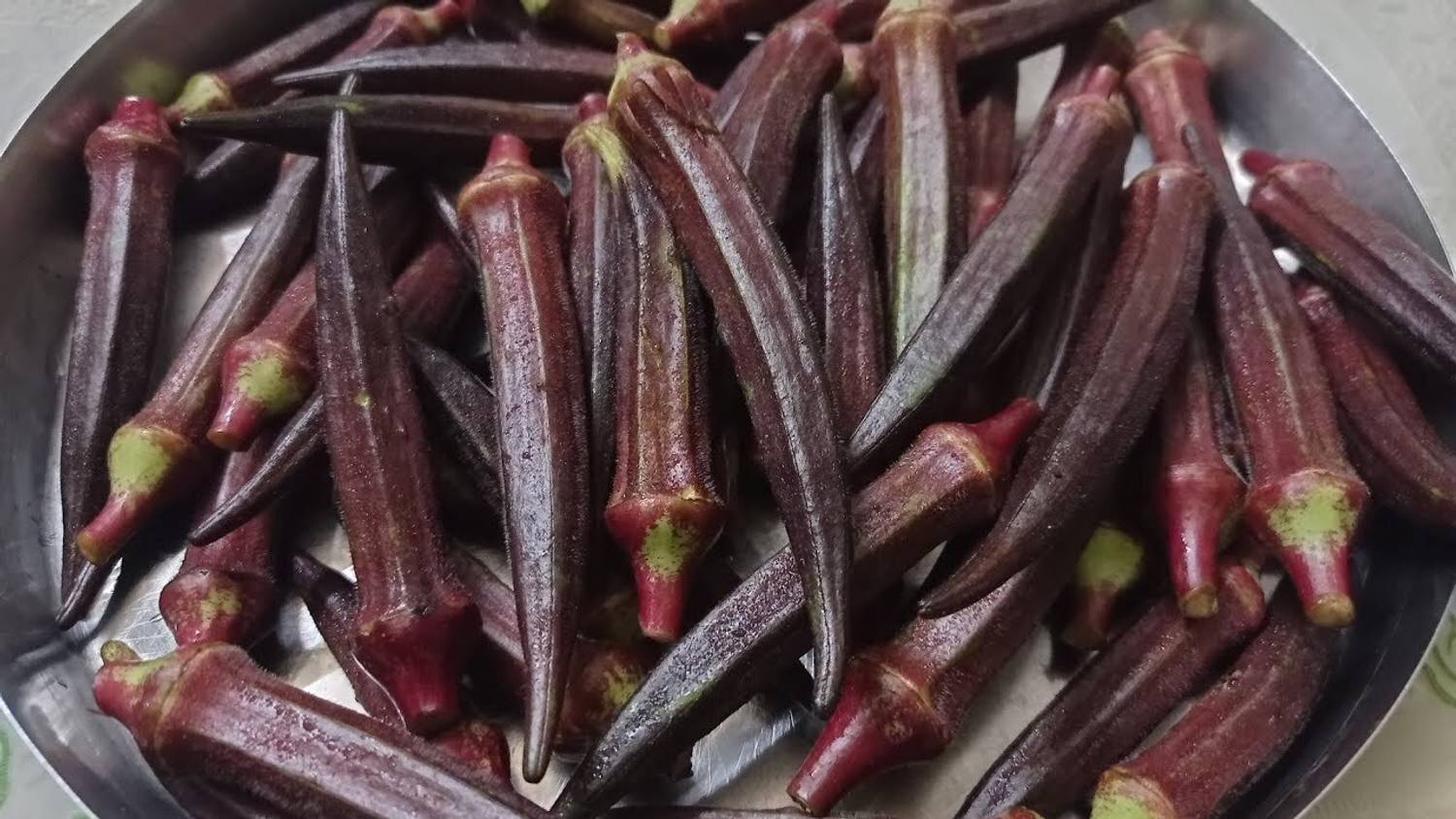 Pbevergreen Red bhindi seeds hybrid for farming Seed