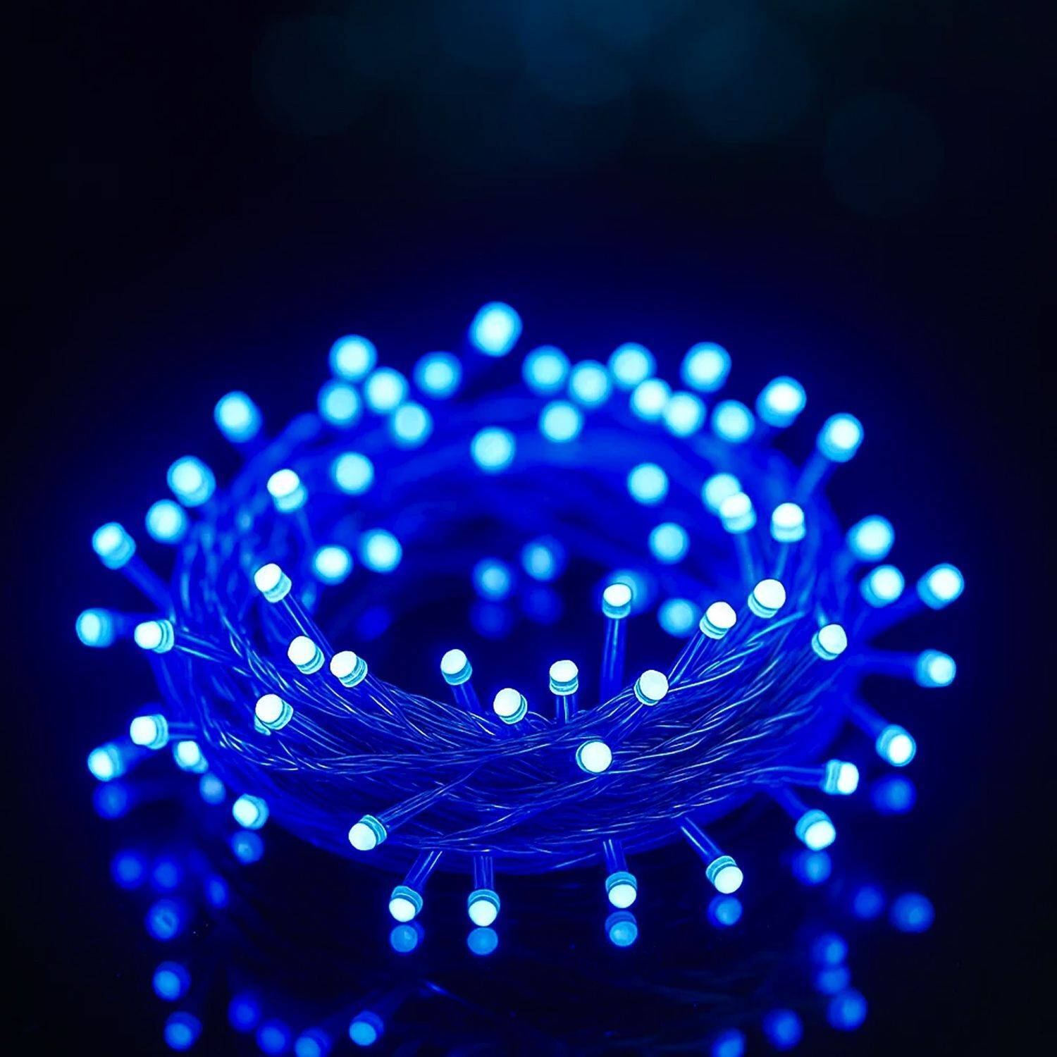 MPROW 34 LEDs 10 m Blue Steady String Rice Lights (Pack of 10)