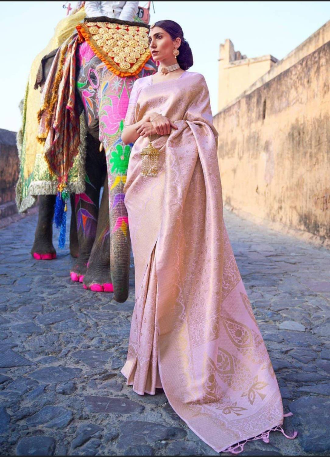 Bermondsey Woven Banarasi Silk Blend Saree