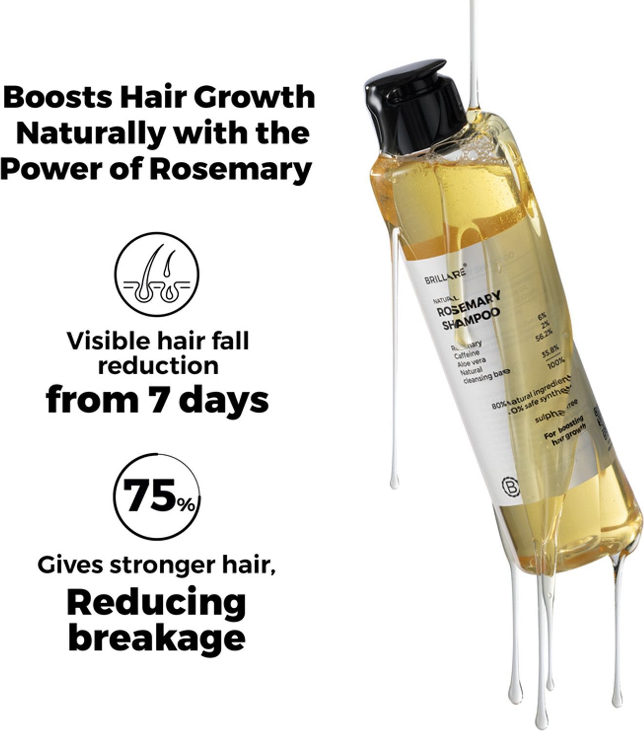 Image of BRILLARE 6% Rosemary Shampoo with 2% Caffeine for Hair Growth & Hair Fall Control