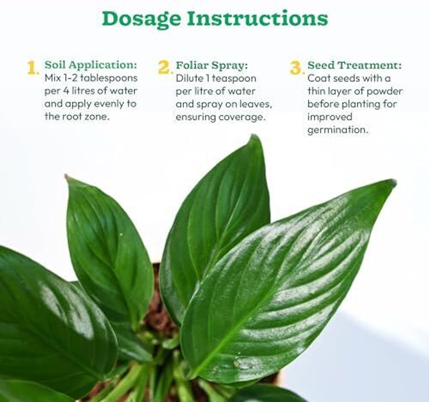 Image of UGAOO Humic Acid Organic Soil Conditioner And Fertilizer For Plants Fertilizer