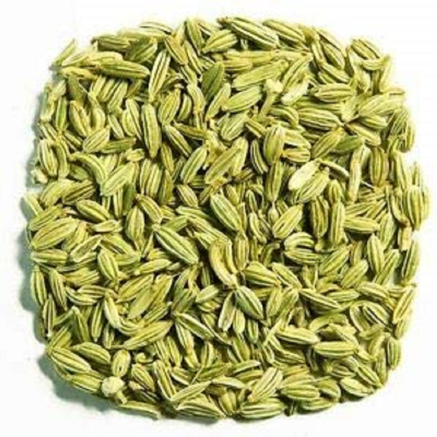 Image of Surya 500gm Fennel (Saunf) Big