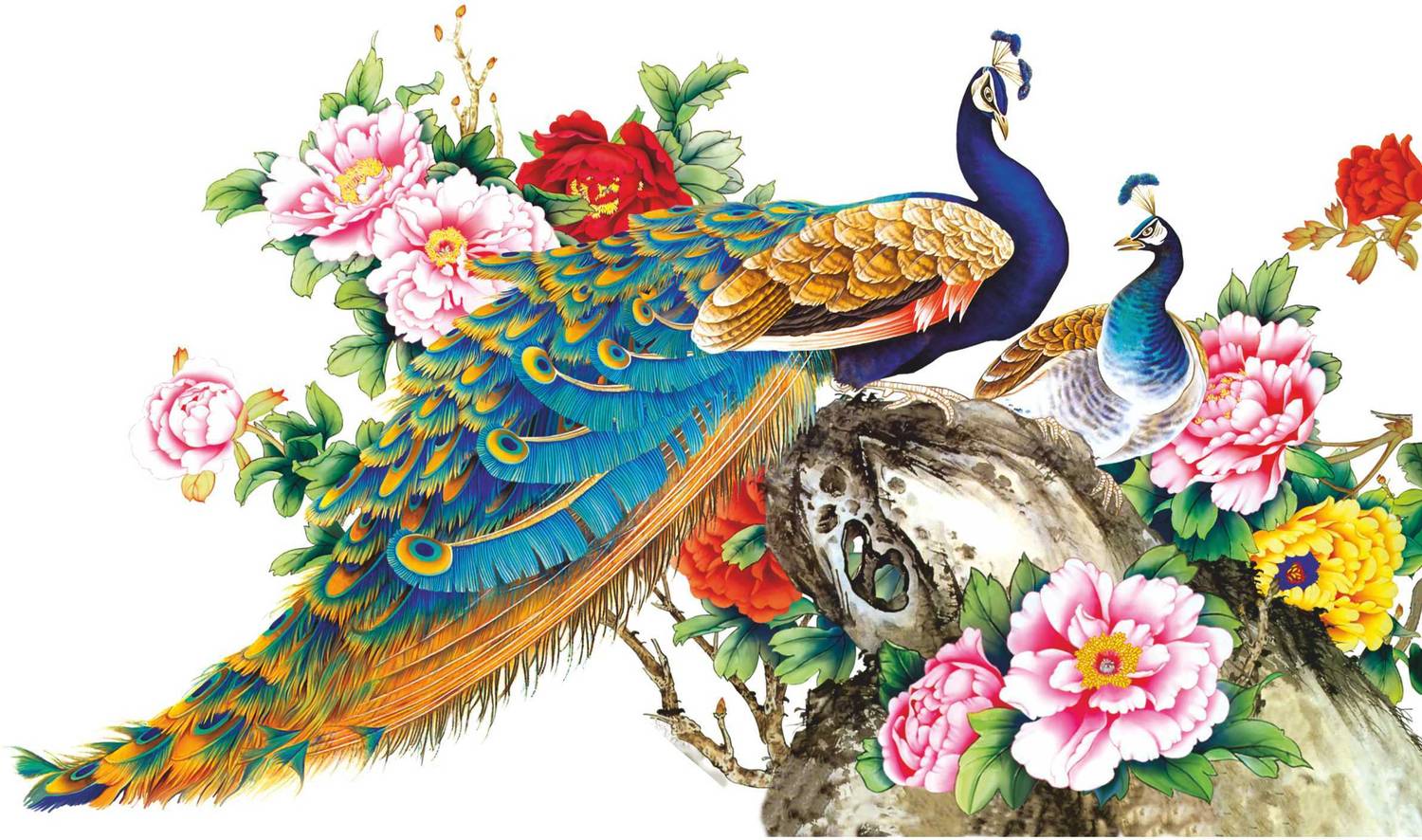 Azan Creation 66.04 cm Peacock Wall Sticker for Bedroom Size - 66X38 CM Self Adhesive Sticker