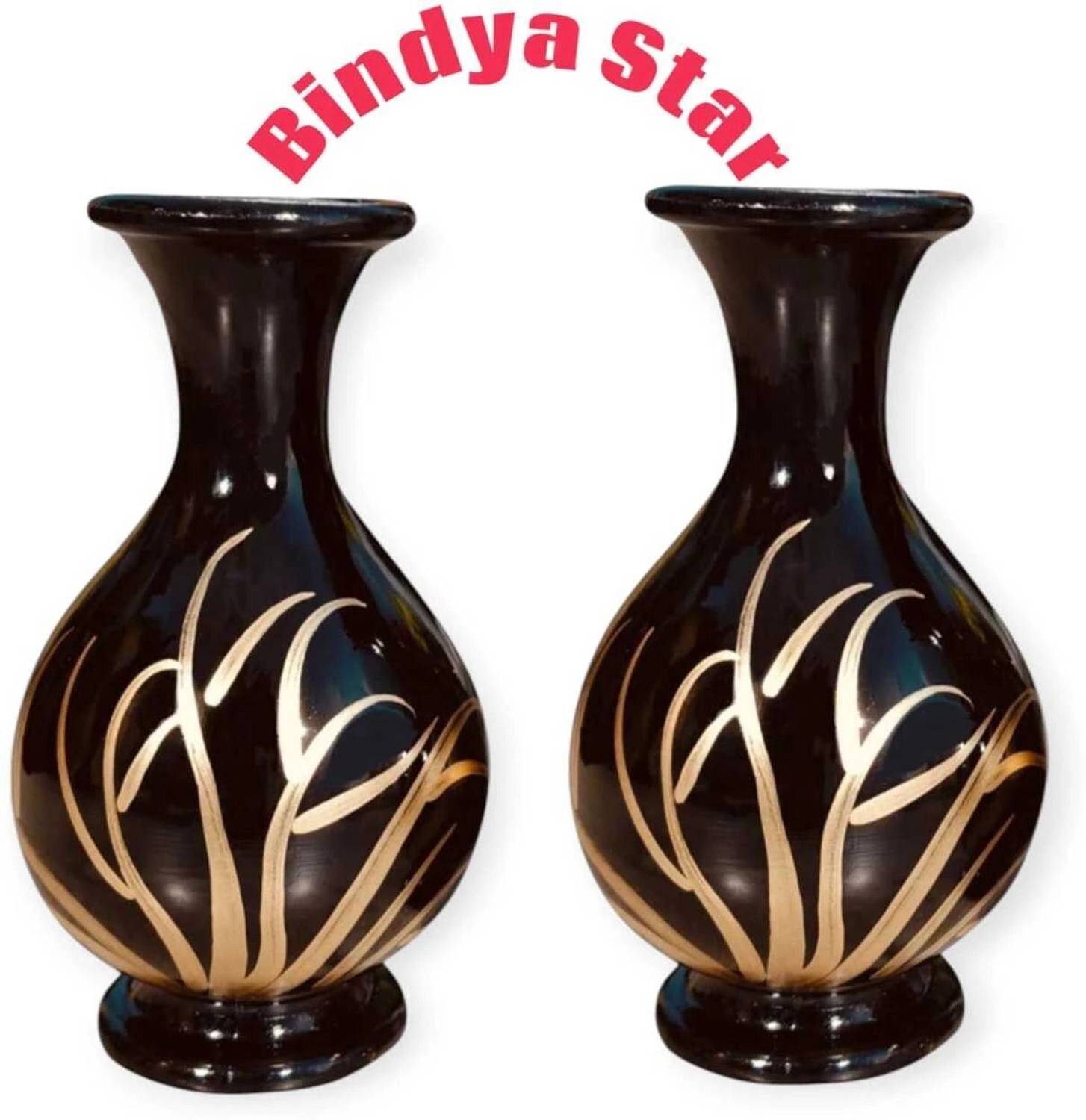 Bindya Star Black Panting Surai Flower Vase for Home Decor Bedroo
