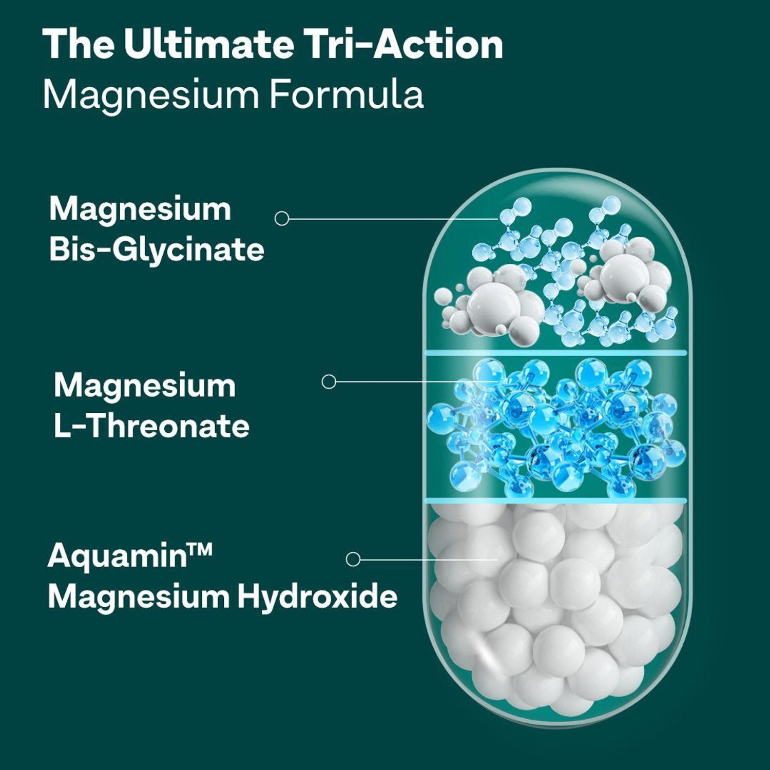 Image of OZiva Magnesium Triple Complex |With Aquamin Mg, Magnesium Bisglycinate|Nerve Function
