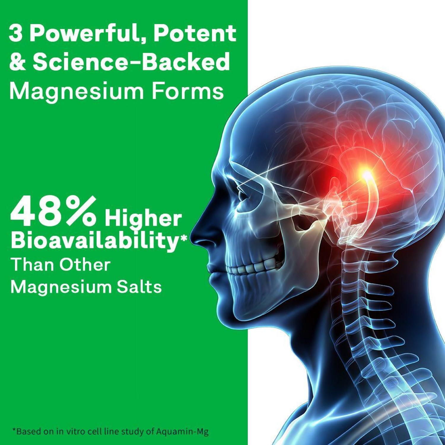 Image of OZiva Magnesium Triple Complex |With Aquamin Mg, Magnesium Bisglycinate|Nerve Function