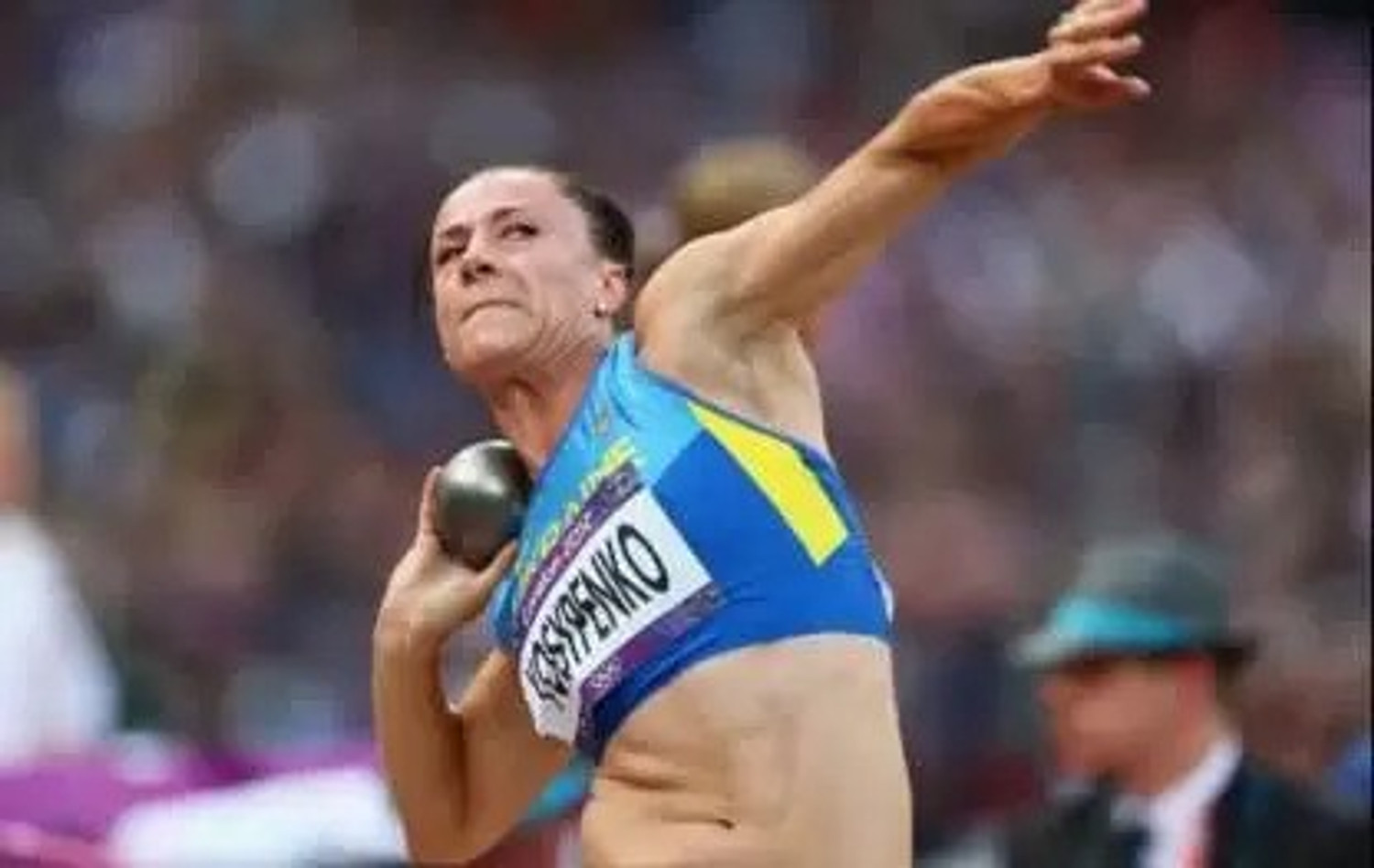 Image of Fitness Kart 7.26 kg Shot Put