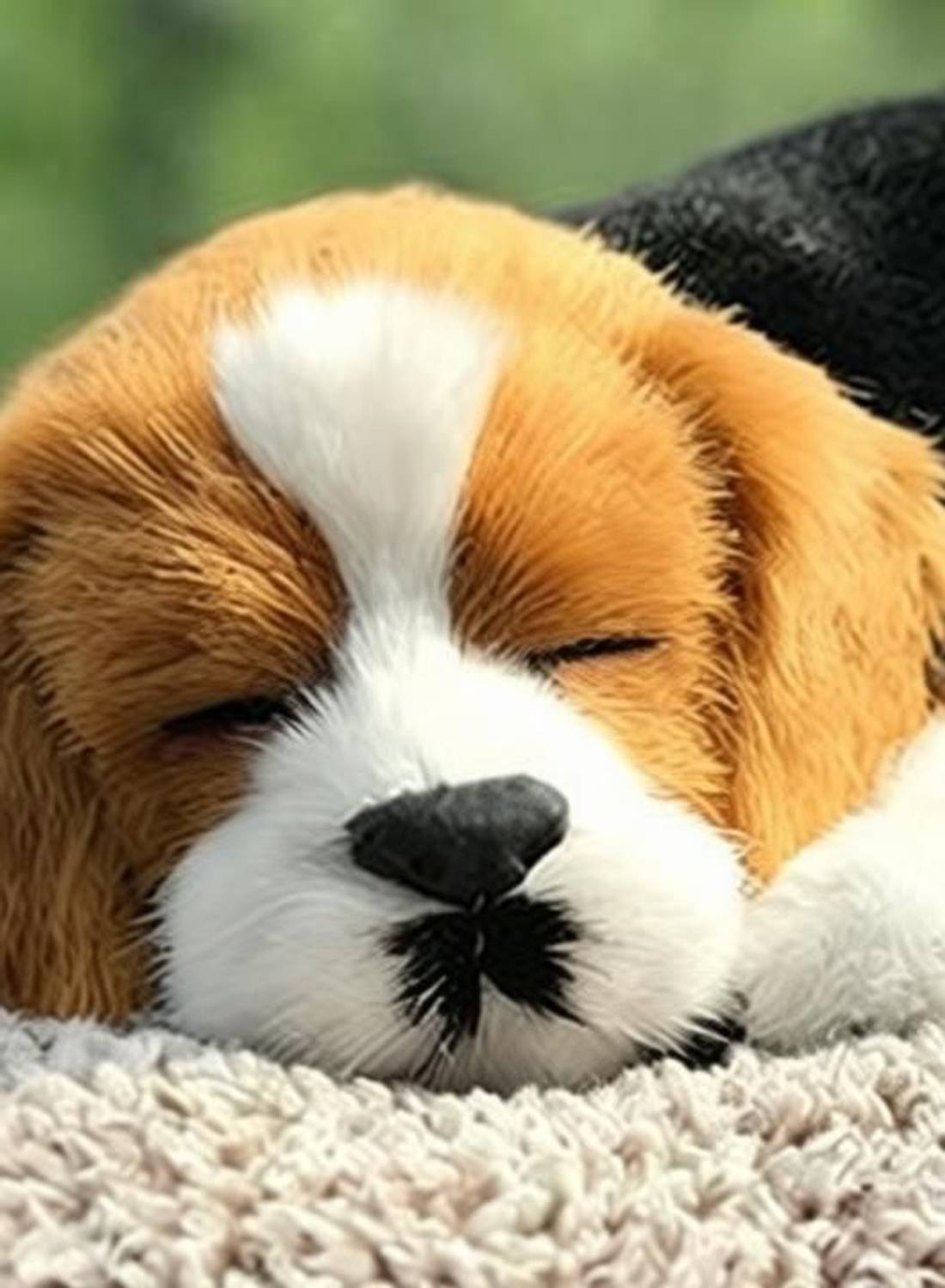 Ubom Sleeping Cute Dog Decorative Showpiece 20 cm - Image 3
