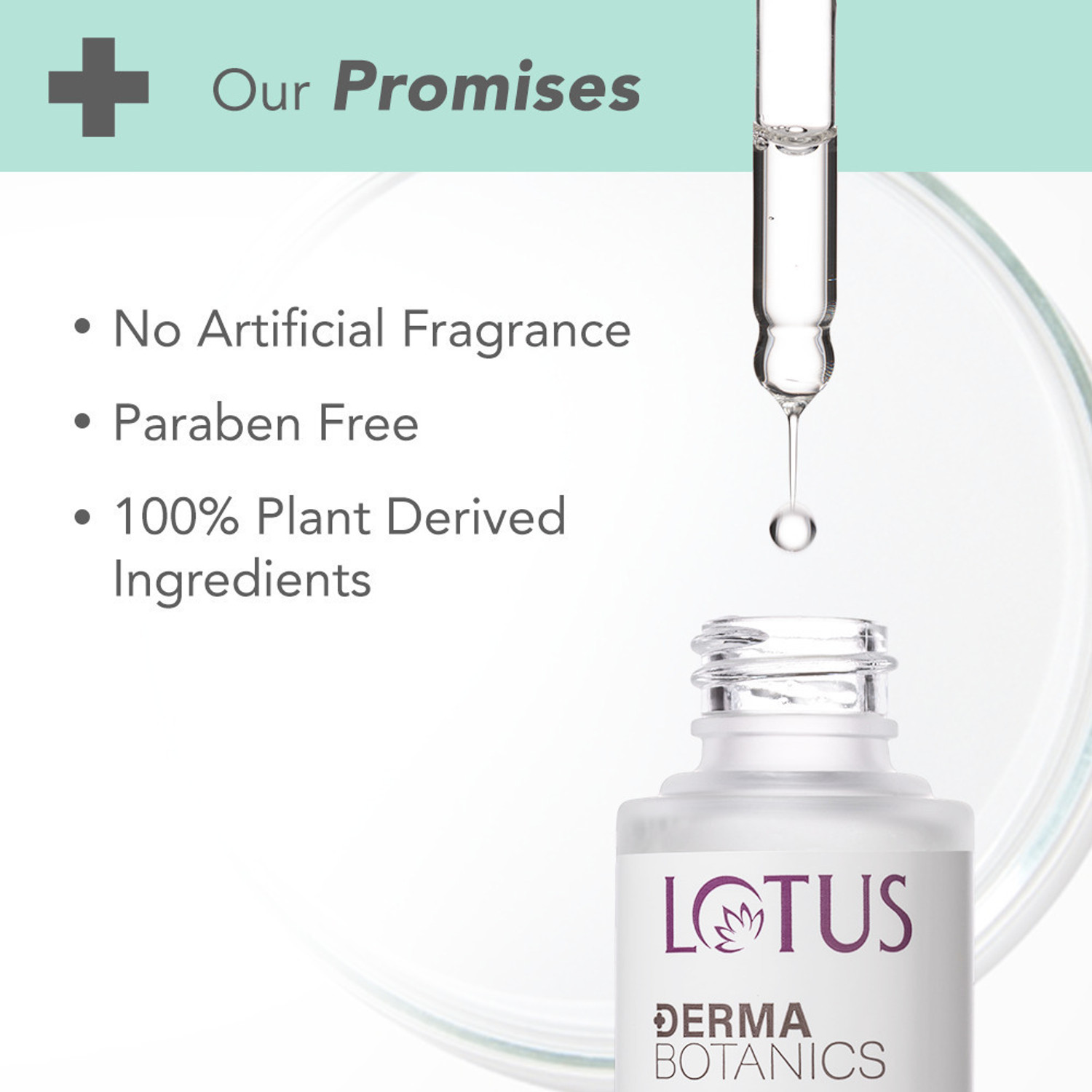 Image of LOTUS DERMA BOTANICS Hi-Dose Serum Kojic Acid + Multi Berry | Reduce Pigmentation |For Sensitive skin