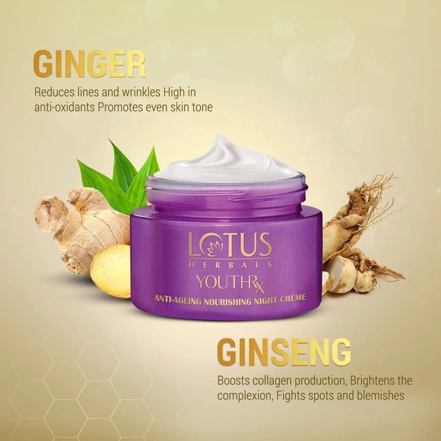 Image of LOTUS HERBALS YouthRx Anti Ageing Nourishing Night Cream