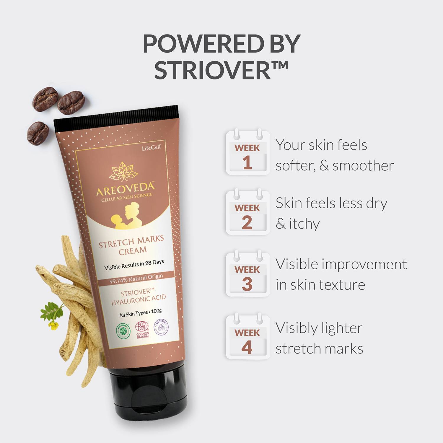 Areoveda Stretch Marks Cream - Image 2