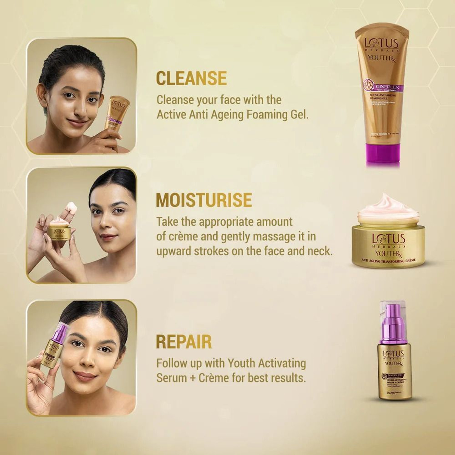 Image of LOTUS HERBALS YouthRx Anti Ageing Nourishing Night Cream