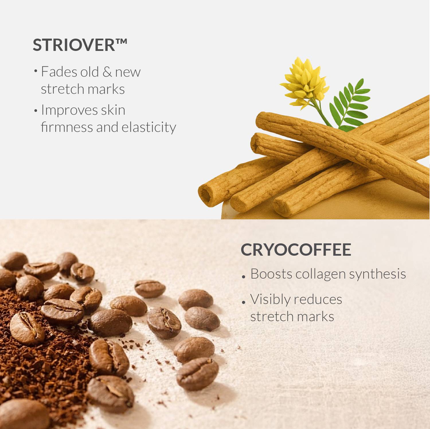 Areoveda Stretch Marks Cream - Image 3