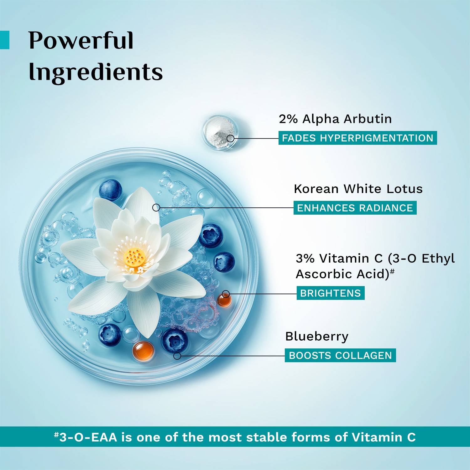 Pilgrim Alpha Arbutin & Vitamin C Brightening Serum 30ml - Image 4