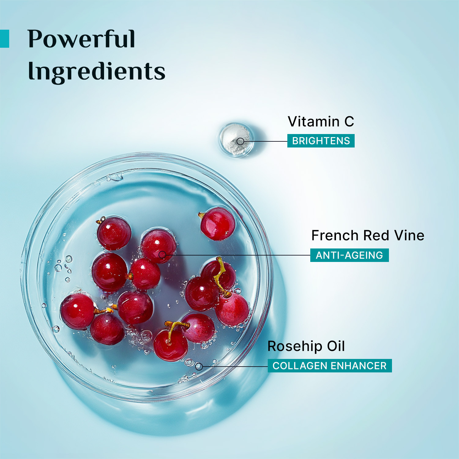 Image of Pilgrim French Mini Red Vine Youthful Glow Moisturizer SPF 30 | Anti-Ageing & Hydrating (8 g)