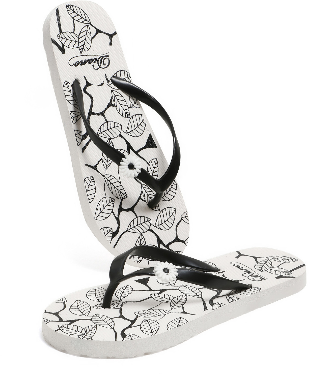 Image of diano Women Slippers