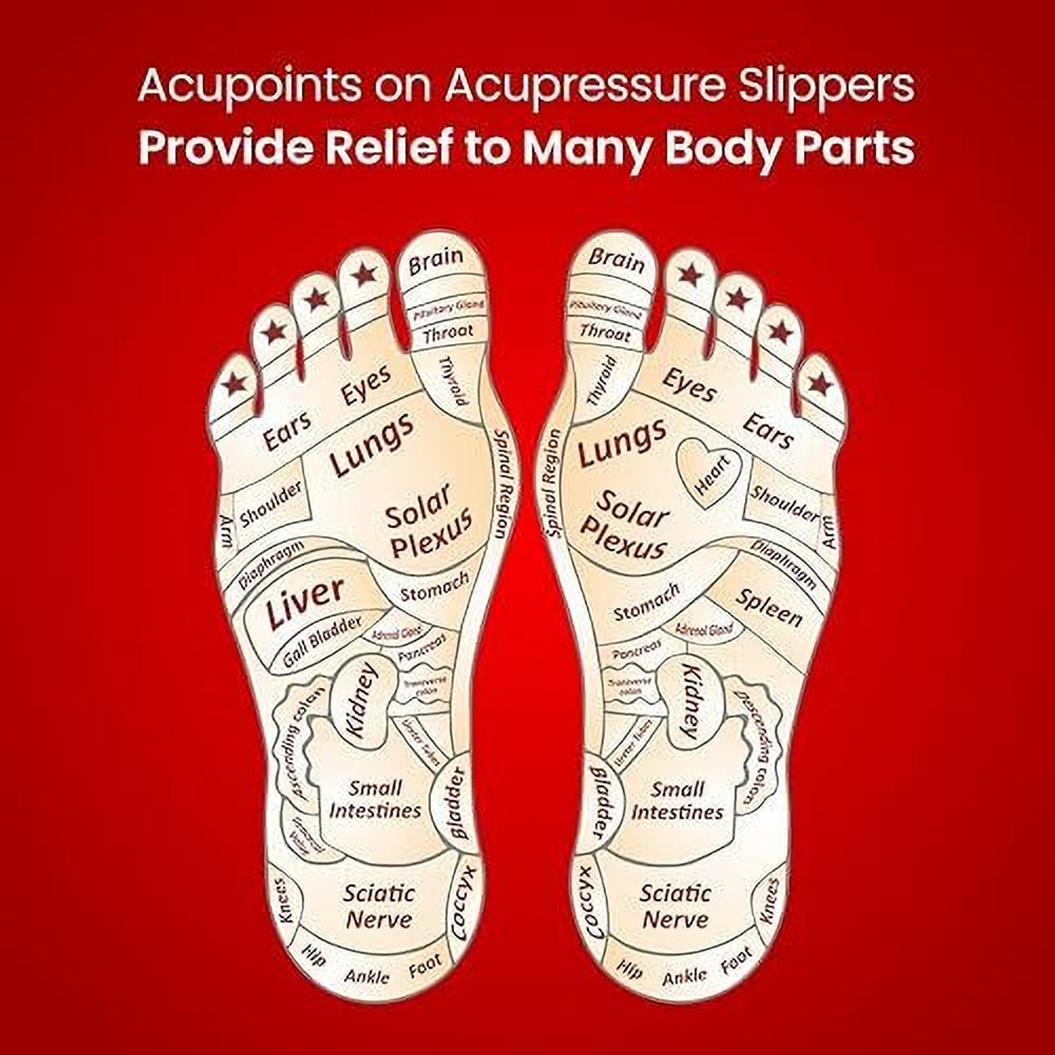 Image of Dr. Ortho Men Unisex Premium Acupressure Flip-Flops | Slippers