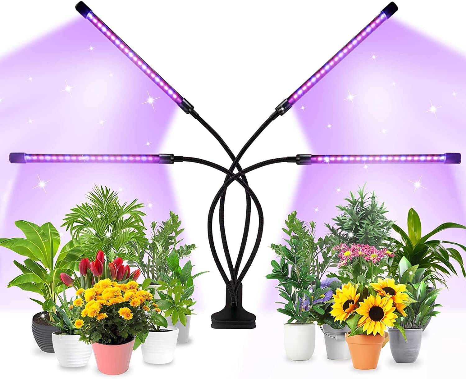 LIVE PLANTS OTHER