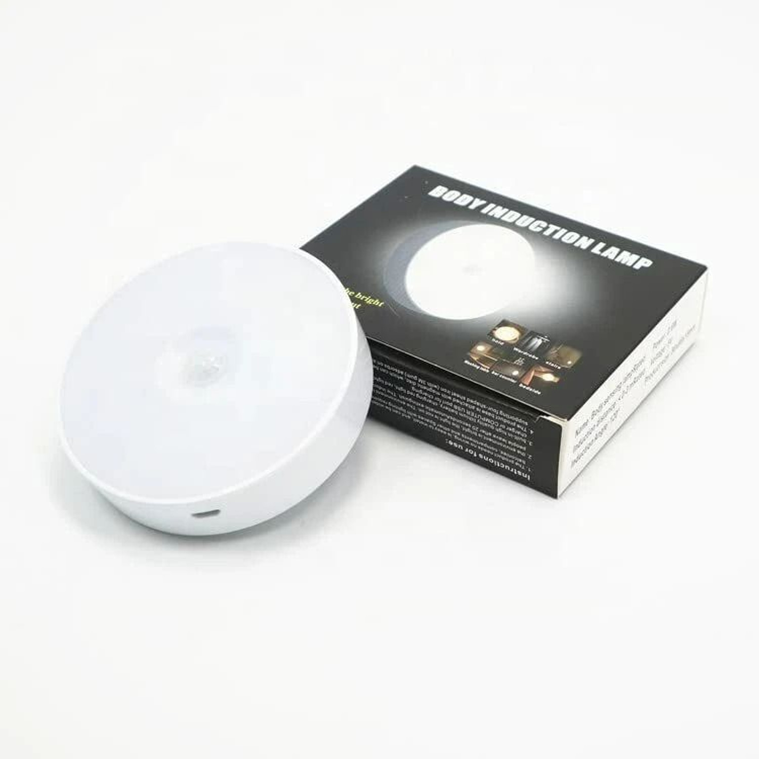 Image of Bright IQ Picture Light Wall Lamp With Bulb