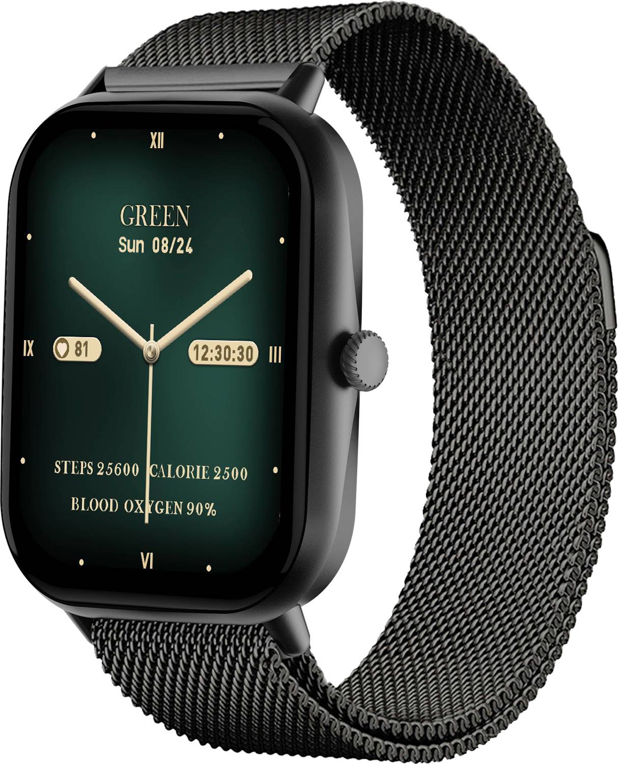 Fire-Boltt 51.1mm (2.01) HD Display Buetooth Calling with Single