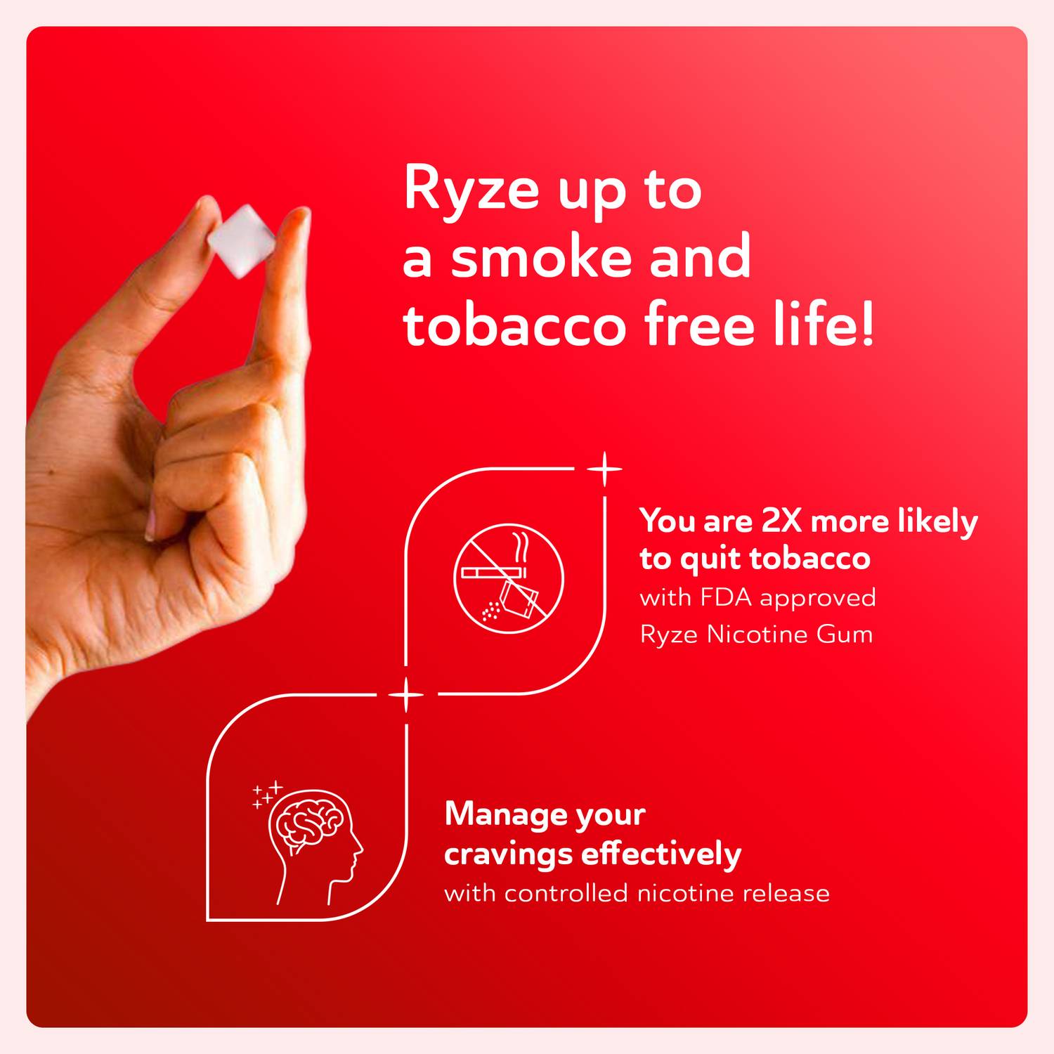 Ryze Nicotine Gum 2mg (Royal Paan) 9 Gums - Image 5