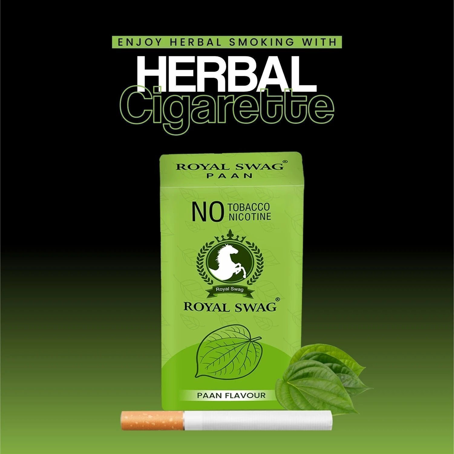 Image of ROYAL SWAG Ayurvedic Herbal Cigarettes PAAN, Mint Flavor - 20 Sticks Ayurvedic Dhumapana Smoking Cessations