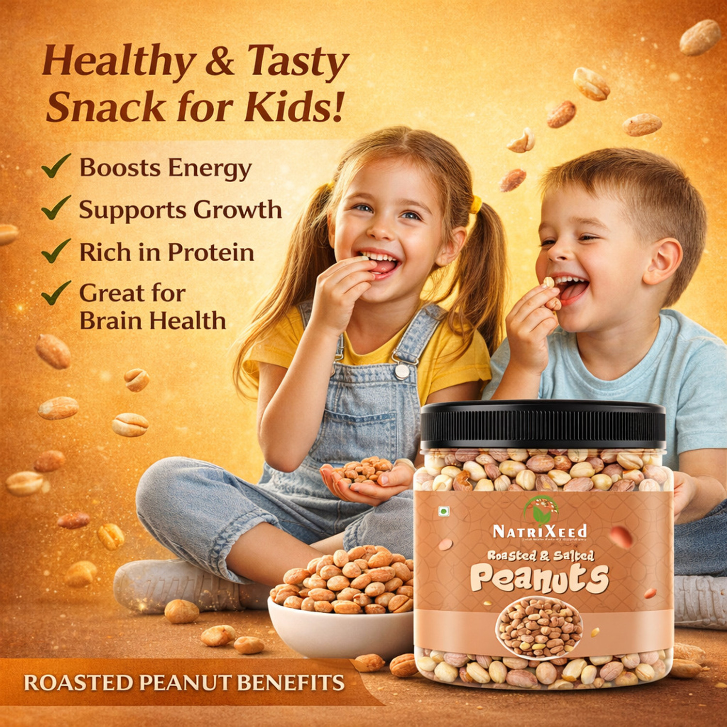 Image of Natrixeed Roasted Salted Peanuts \ Moongfali (1kg) | Rich Healthy | Crunchy Tea Time Snack Roasted & Salted Peanuts