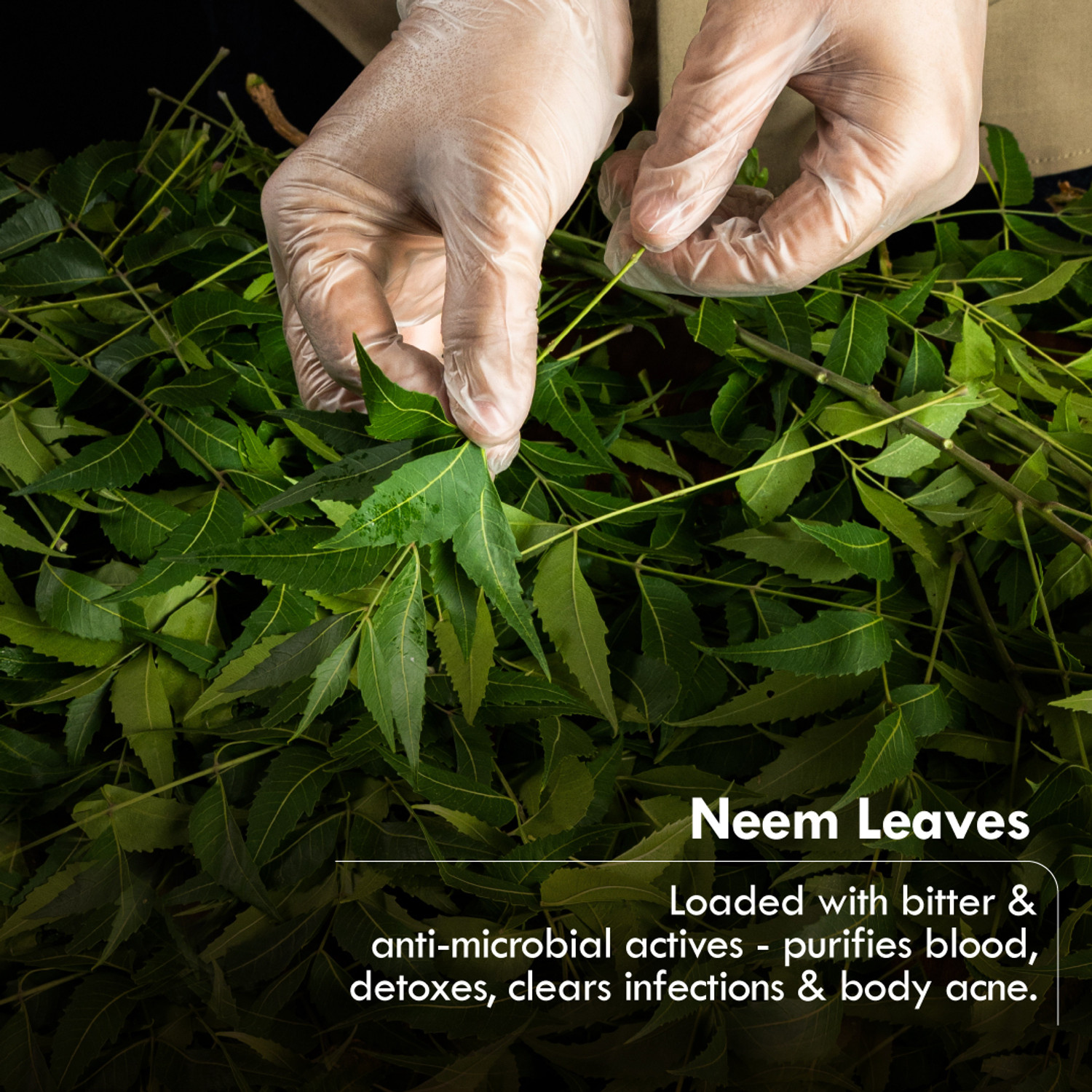 Image of Nat Habit Sacred Neem Soap - For Detoxifiaction & Acne Free Clear Skin