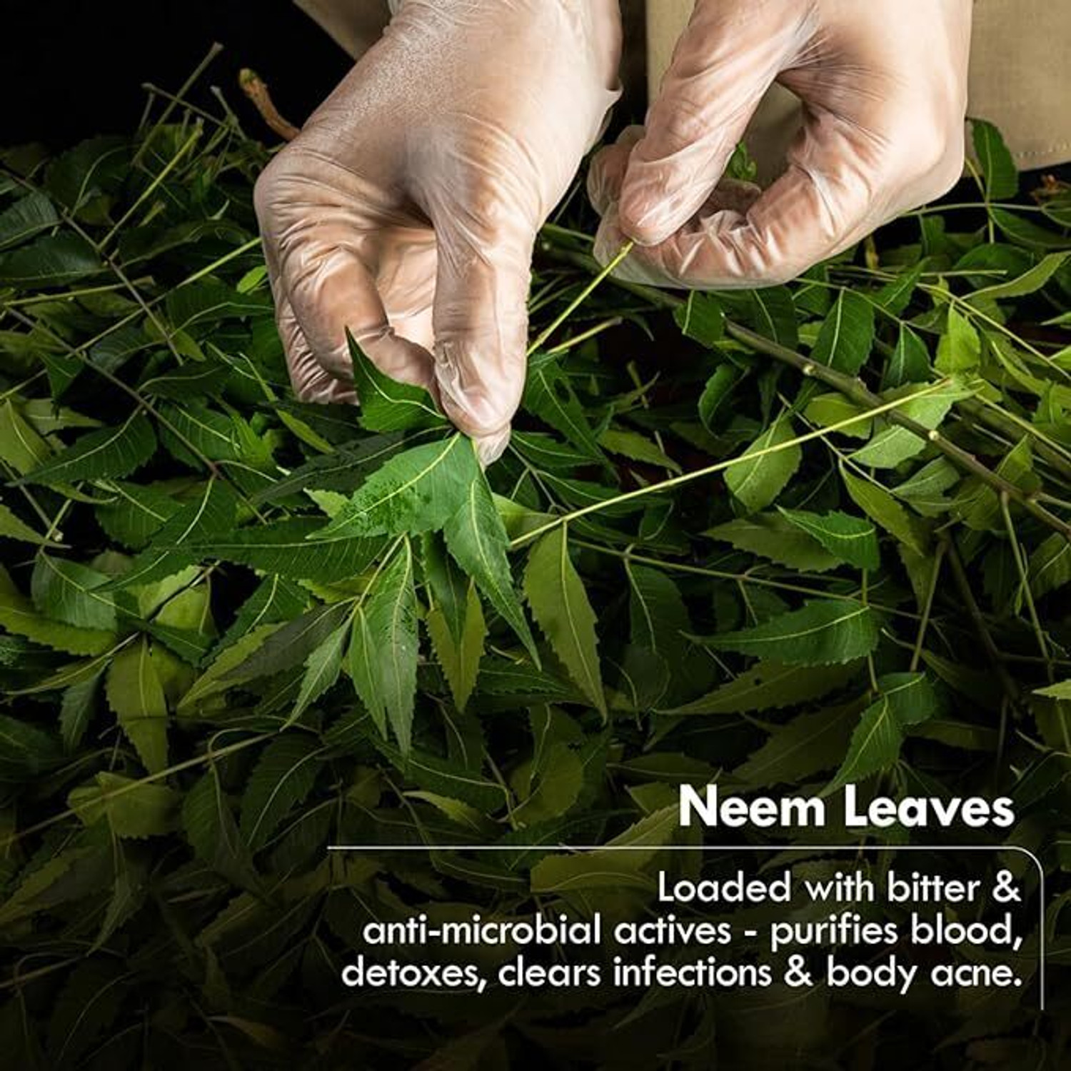 Image of Nat Habit Sacred Neem Soap - For Detoxifiaction & Acne Free Clear Skin