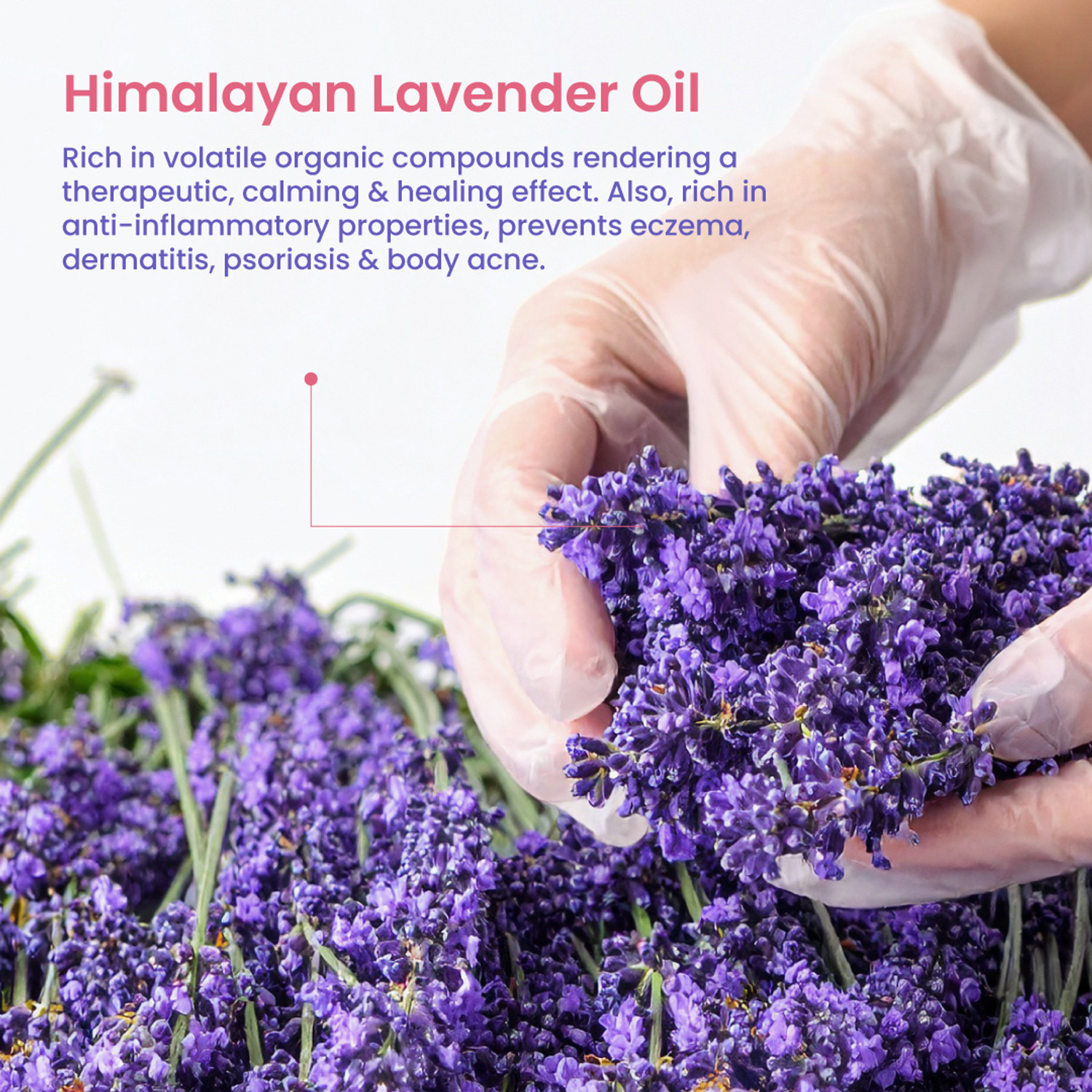 Image of Nat Habit Himalayan Lavender Soap for Glowing Skin Cold Pressed Moisturising Soap