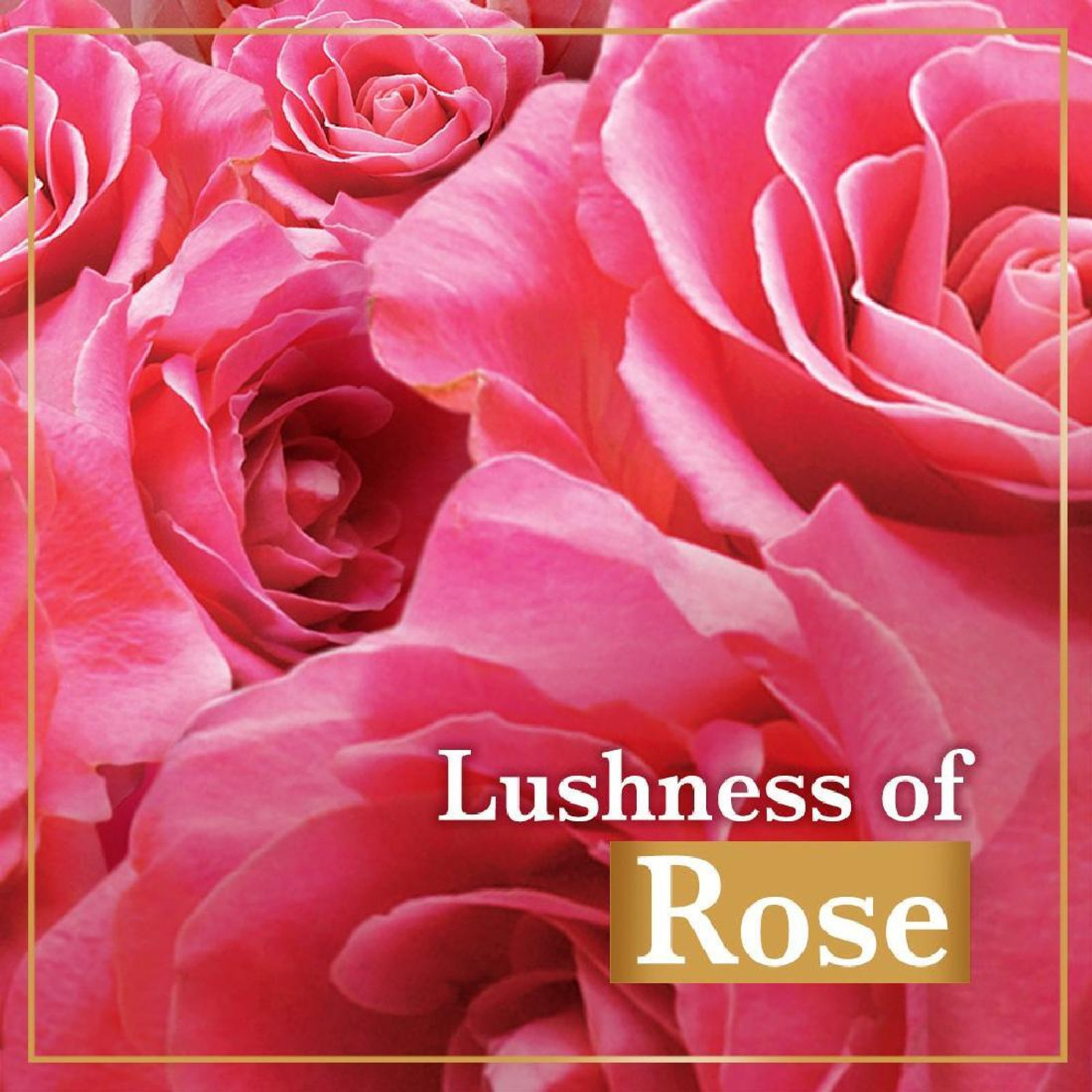 Image of LUX Soft Glow Rose & Vitamin E For Glowing Skin Beauty Bar Mega Pack