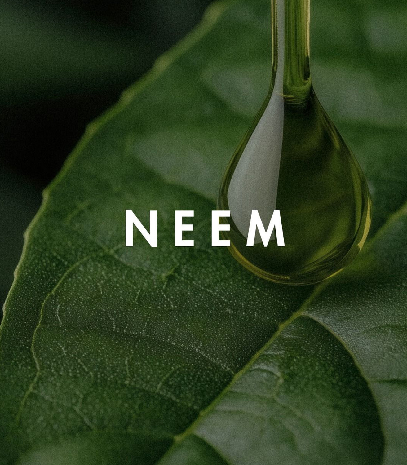 Image of Derma 2% Salicylic Acid + Niacinamide + 0.5% Tea tree Oil + 5% Neem Oil