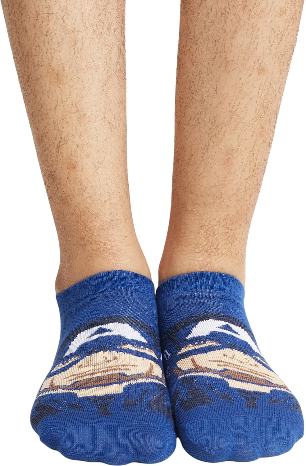 Image of SOCKSXPRESS Men Printed Mid-Calf /Crew, Low Cut, Ankle Length