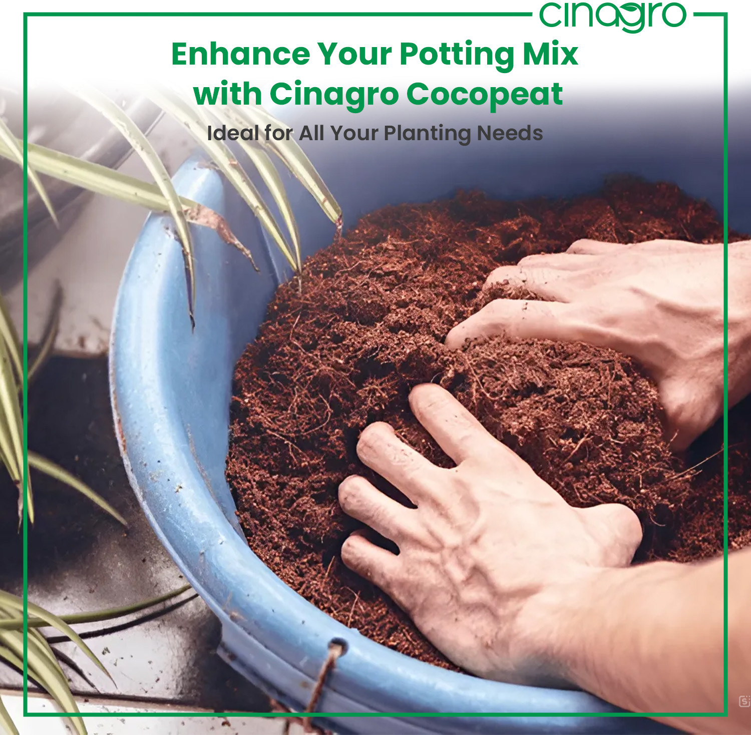 Image of Cinagro Cocopeat Organic Fertilizer for Home Gardening Potting Mixture