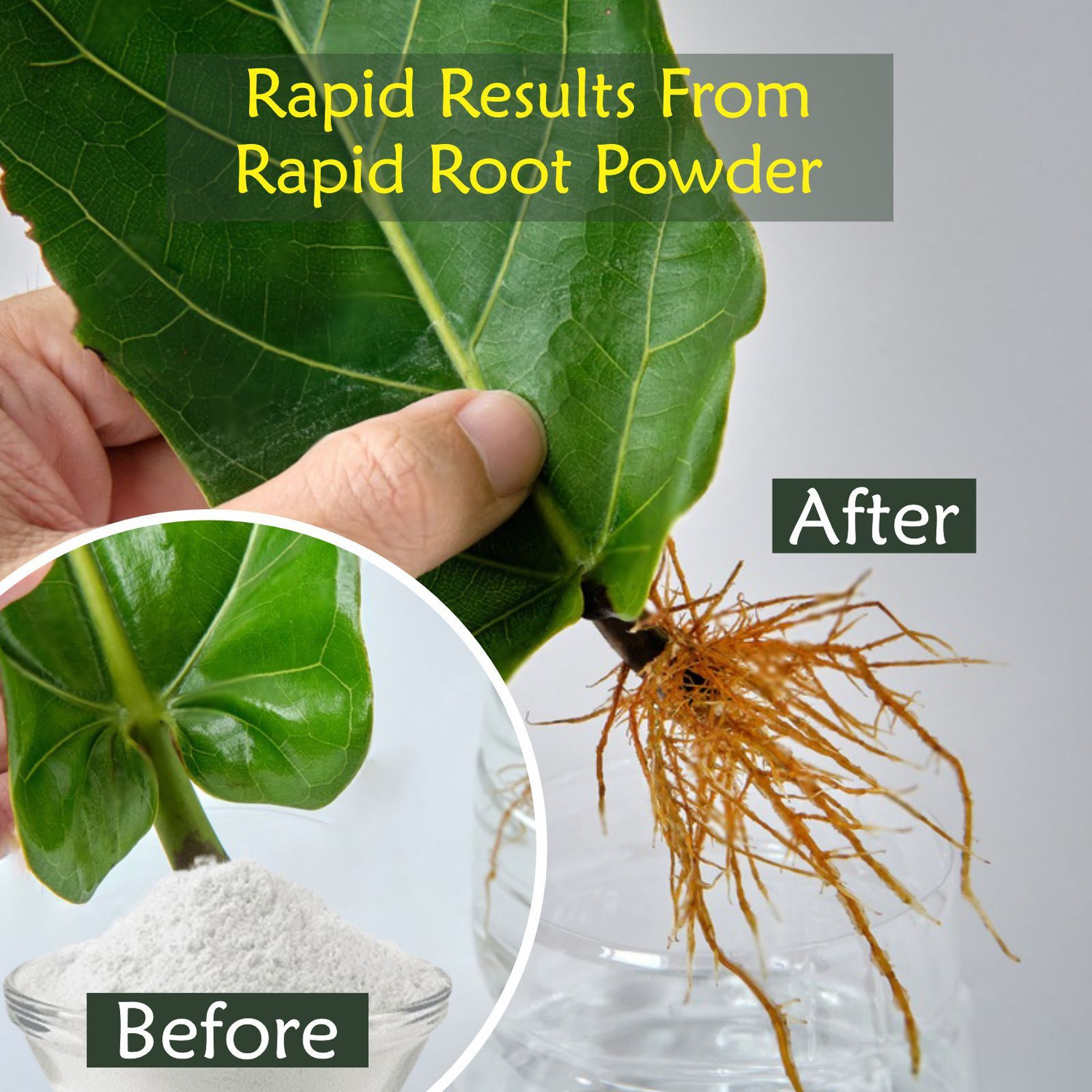 Image of Garden Genie Rapid Root Dry Rooting Hormone Fertilizer