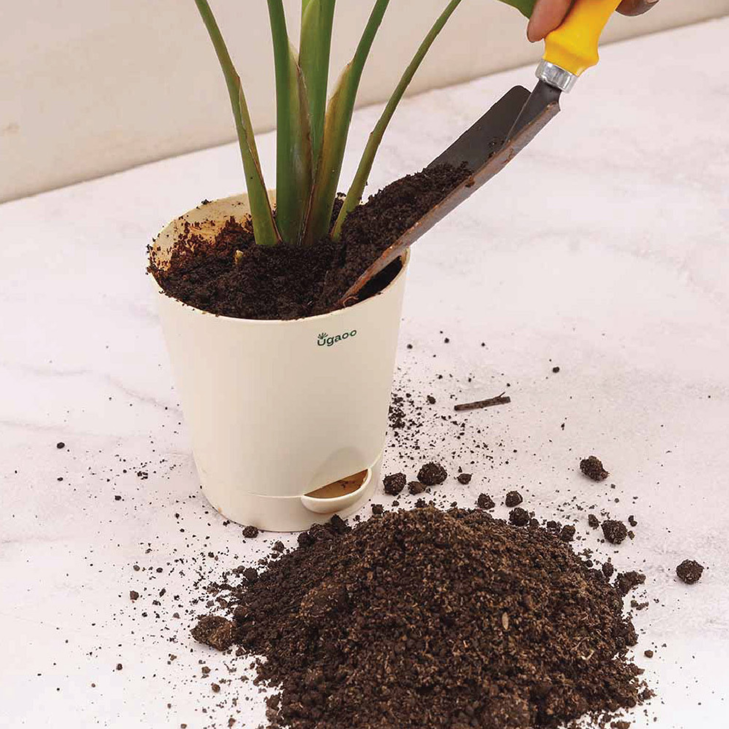 Image of UGAOO Organic Vermicompost for Plants - Fertilizer