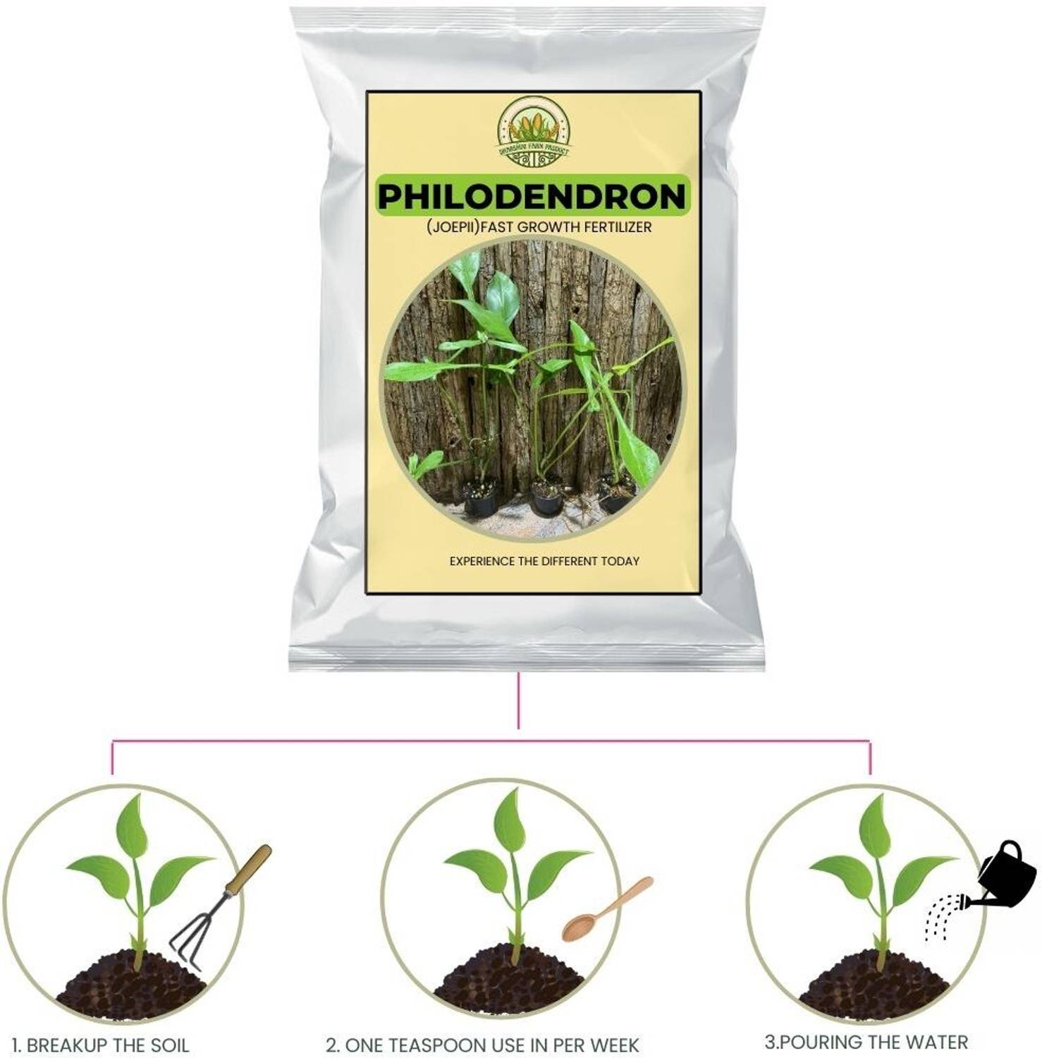 best way to water snake plant Green Snake Plant With Self Watering Pot