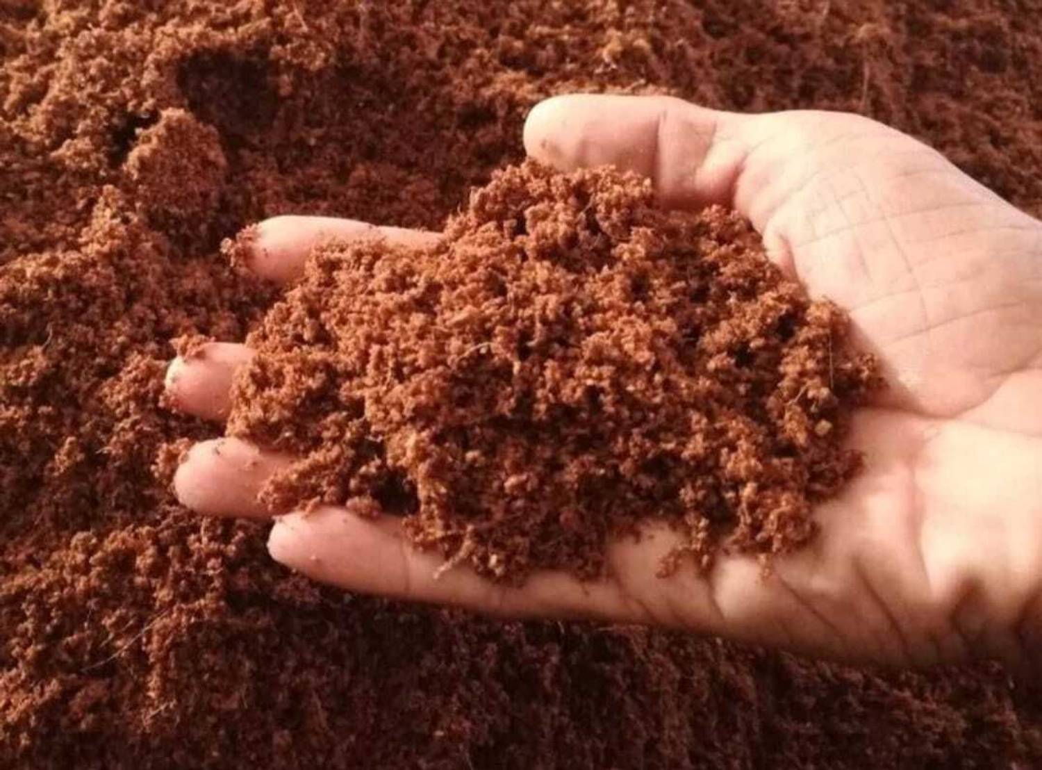 Amrutam coco 4 Potting Mixture