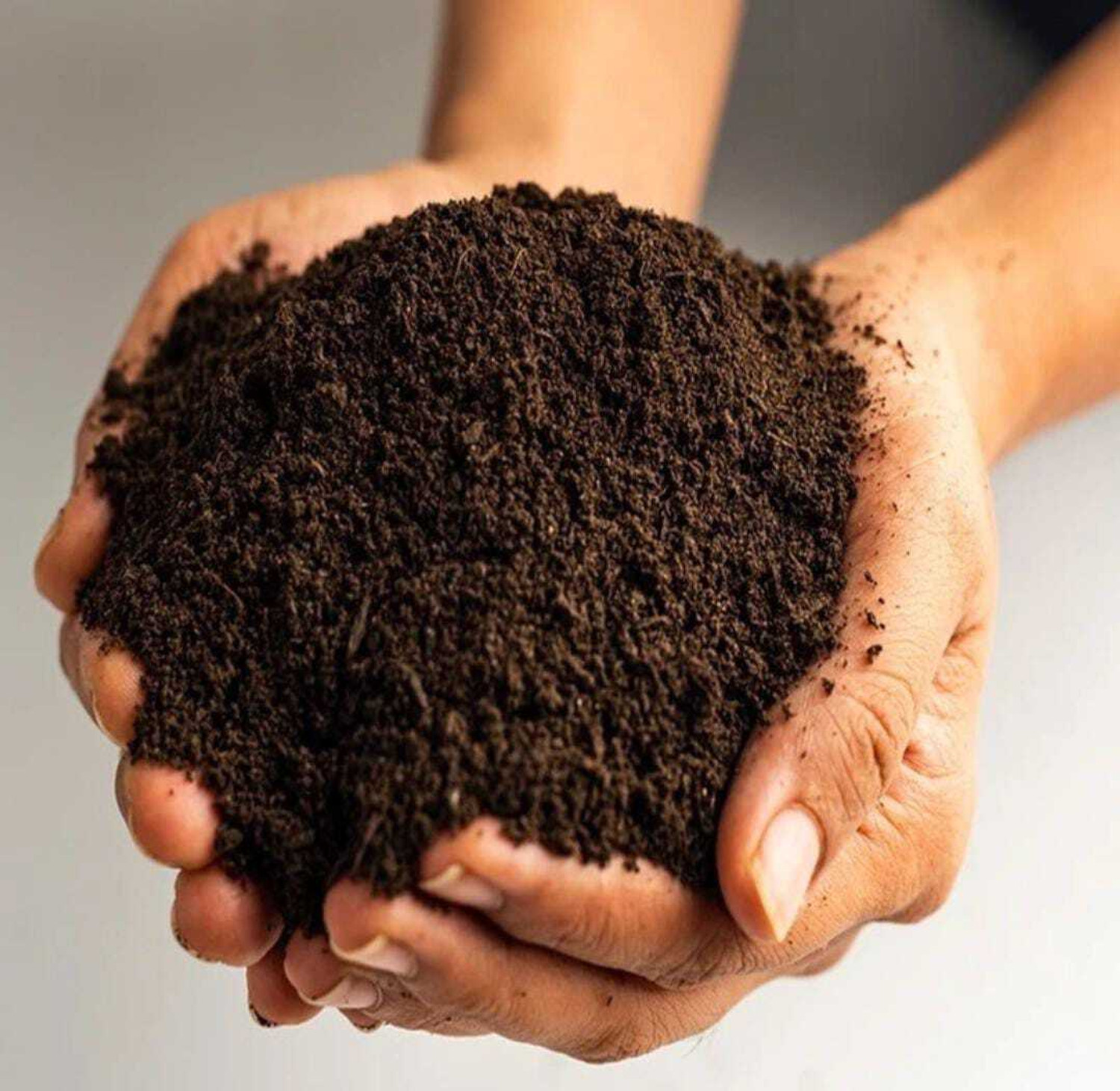 Image of Robust Soil for Plants Soil