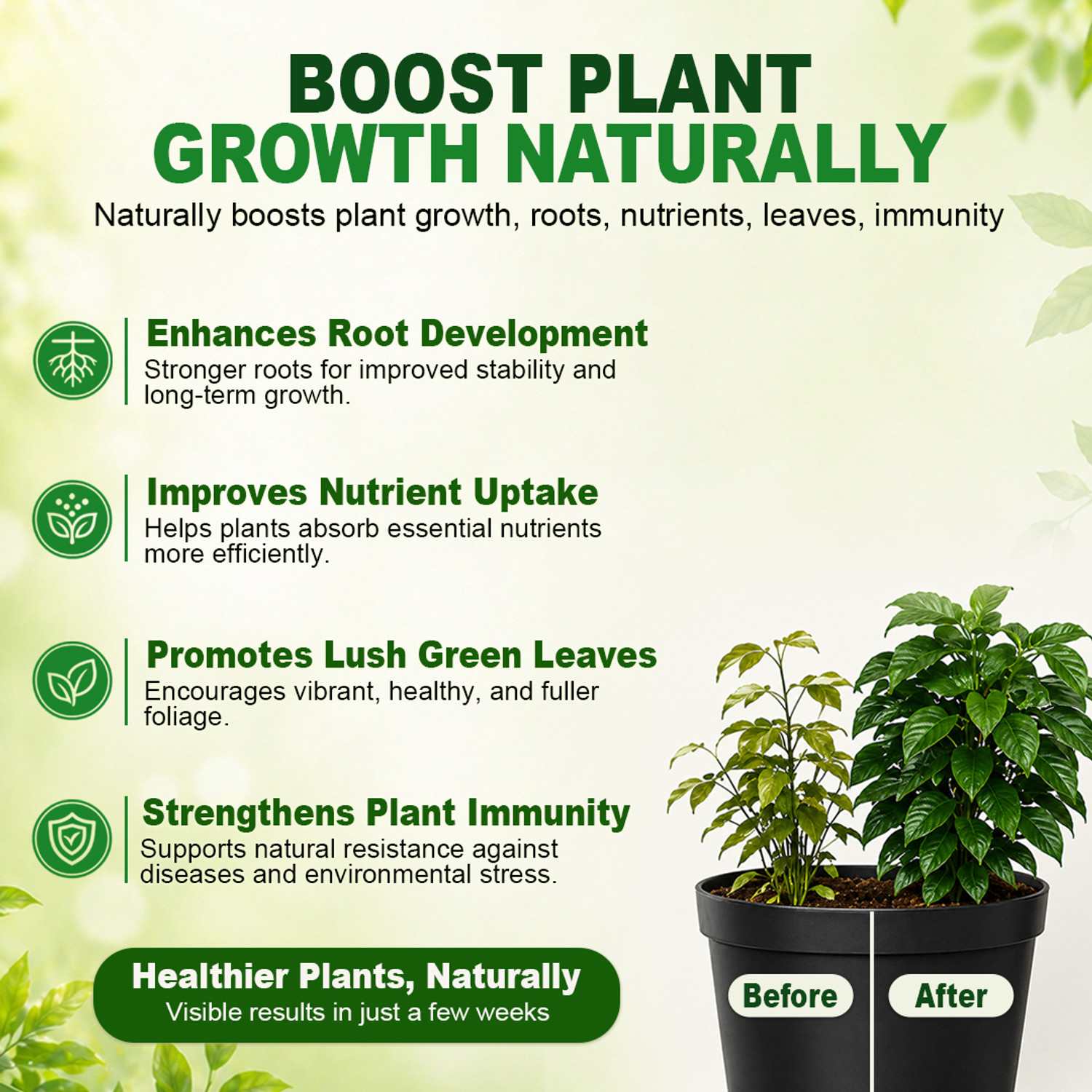 Image of Plantboost Liquid Seaweed Extract Fertilizer for Indoor, Outdoor & Flowering Plants Potting Mixture
