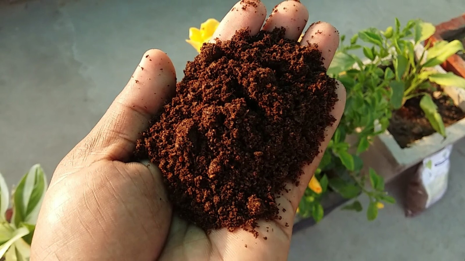 Image of Pitambaraa Vermicompost 15 KG ORIGINIC FARTLIZER Fertilizer