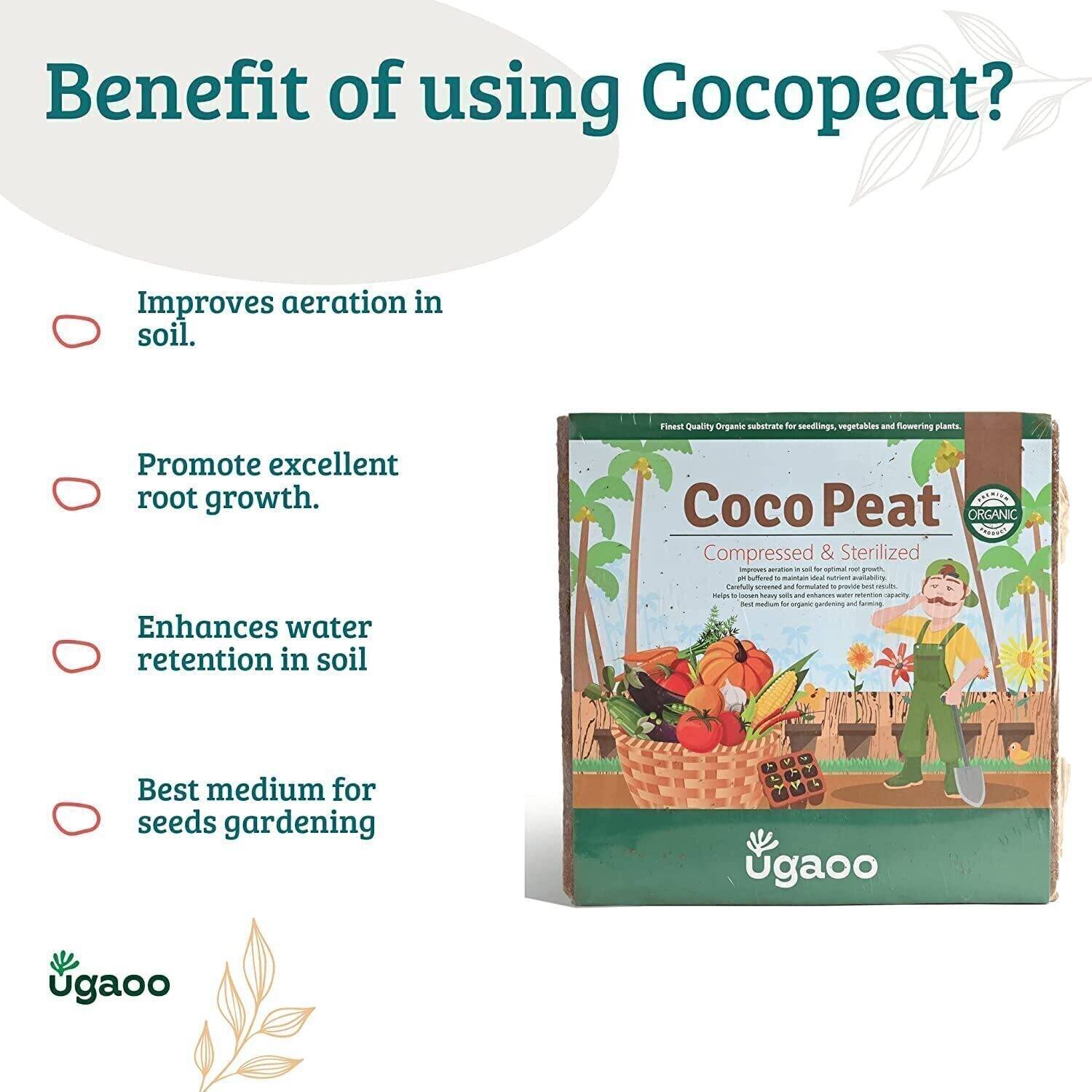 UGAOO Cocopeat Block 5kg for Home Garden - Image 4