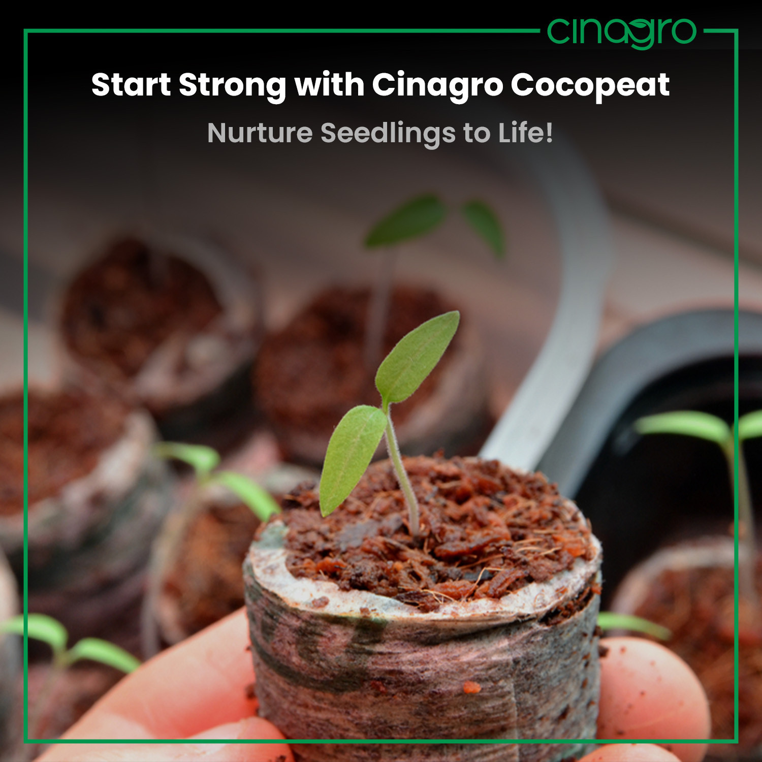 Image of Cinagro Cocopeat Organic Fertilizer for Home Gardening Potting Mixture