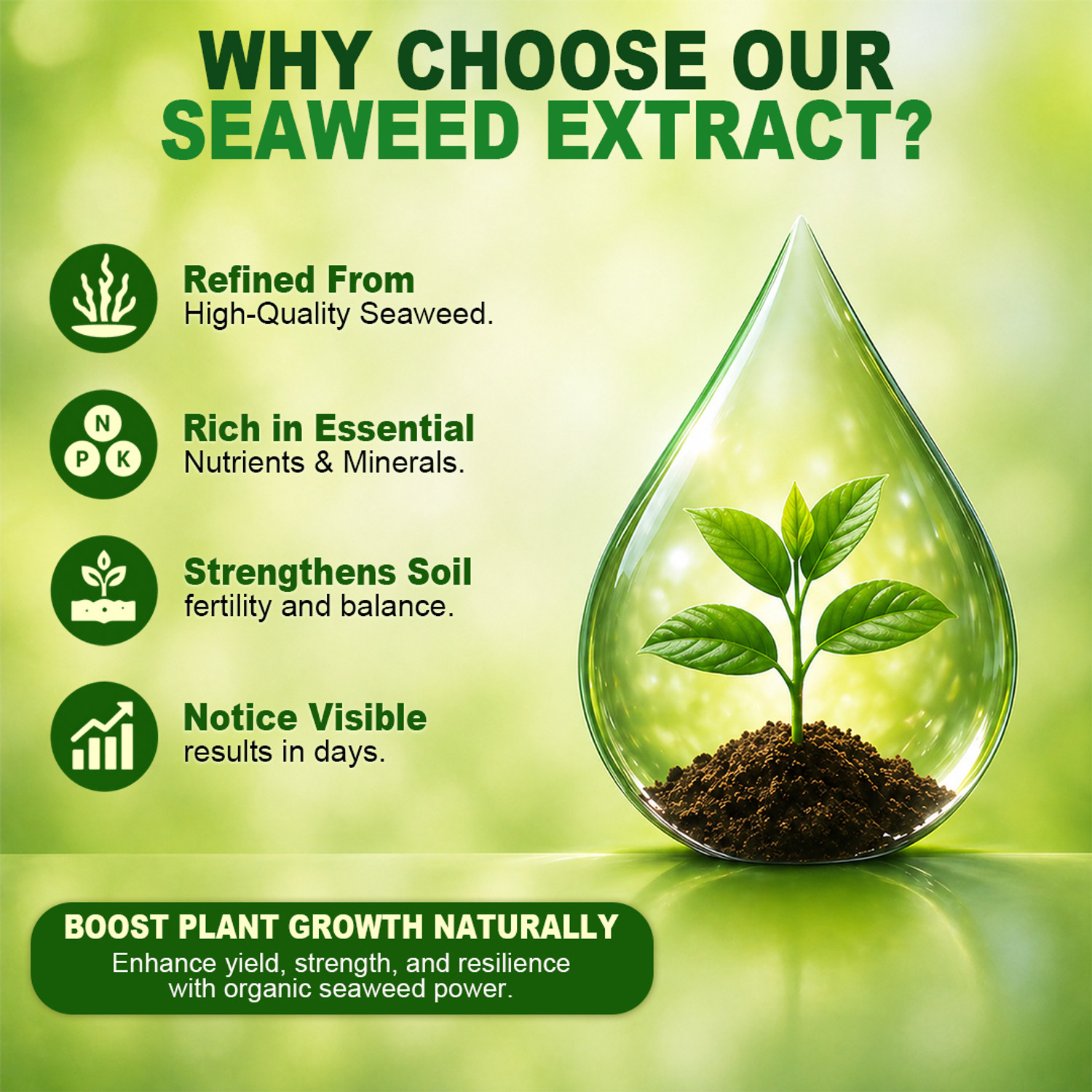 Image of Plantboost Liquid Seaweed Extract Fertilizer for Indoor, Outdoor & Flowering Plants Potting Mixture